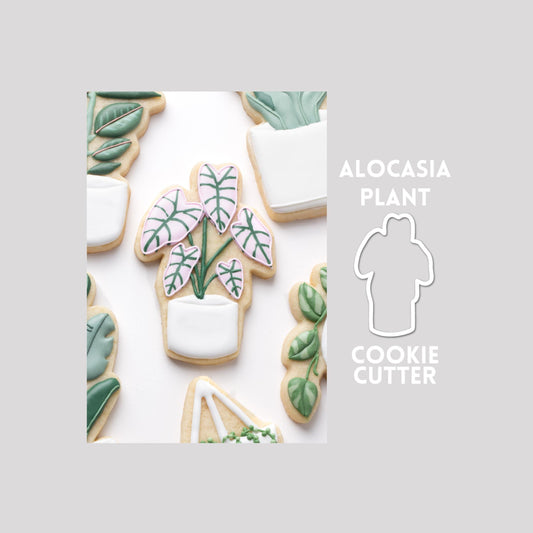 Decorated alocasia plant sugar cookie next to a alocasia plant cookie cutter outline on a gray background.
