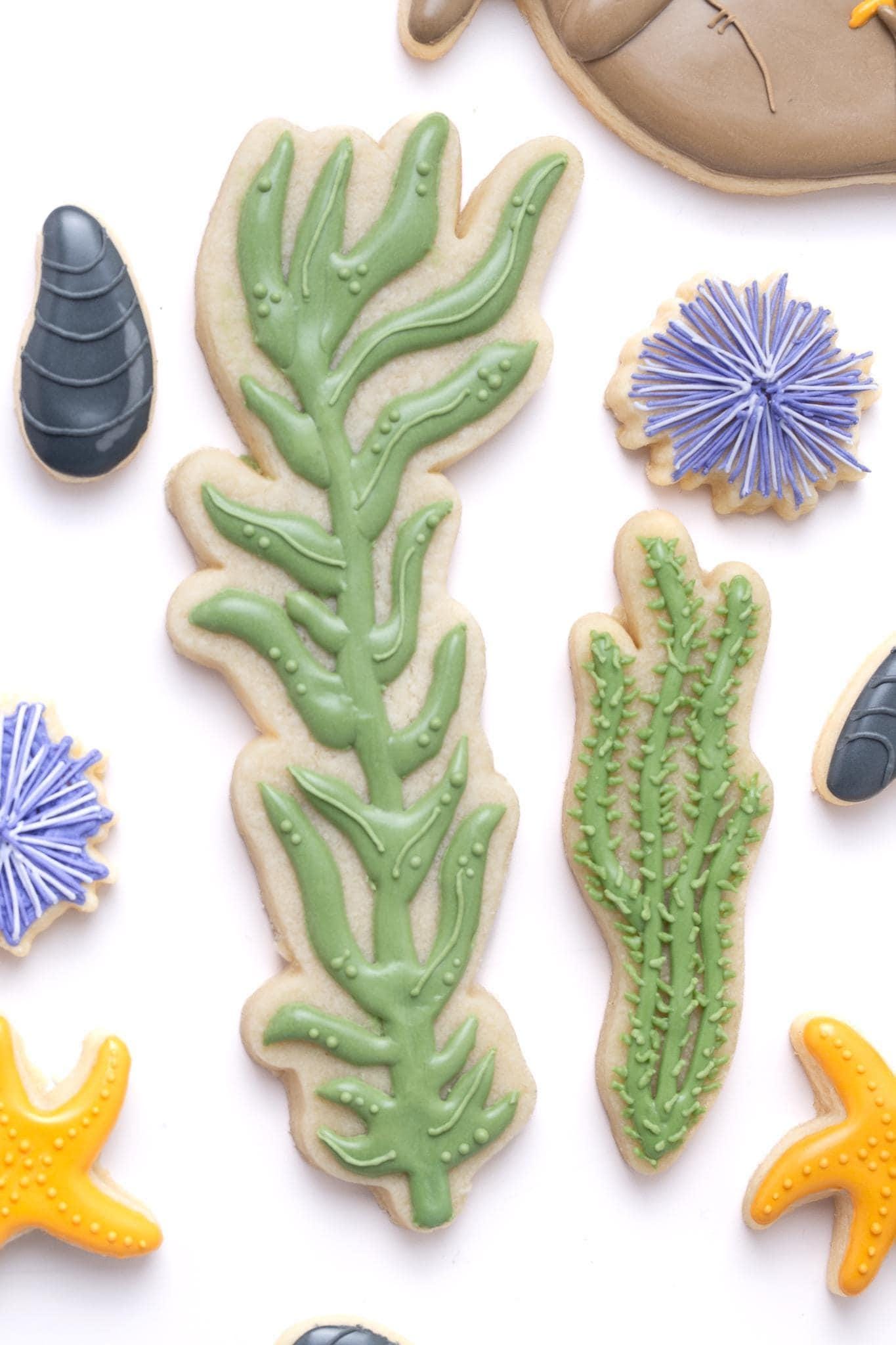 Sea Star Cookie Cutter