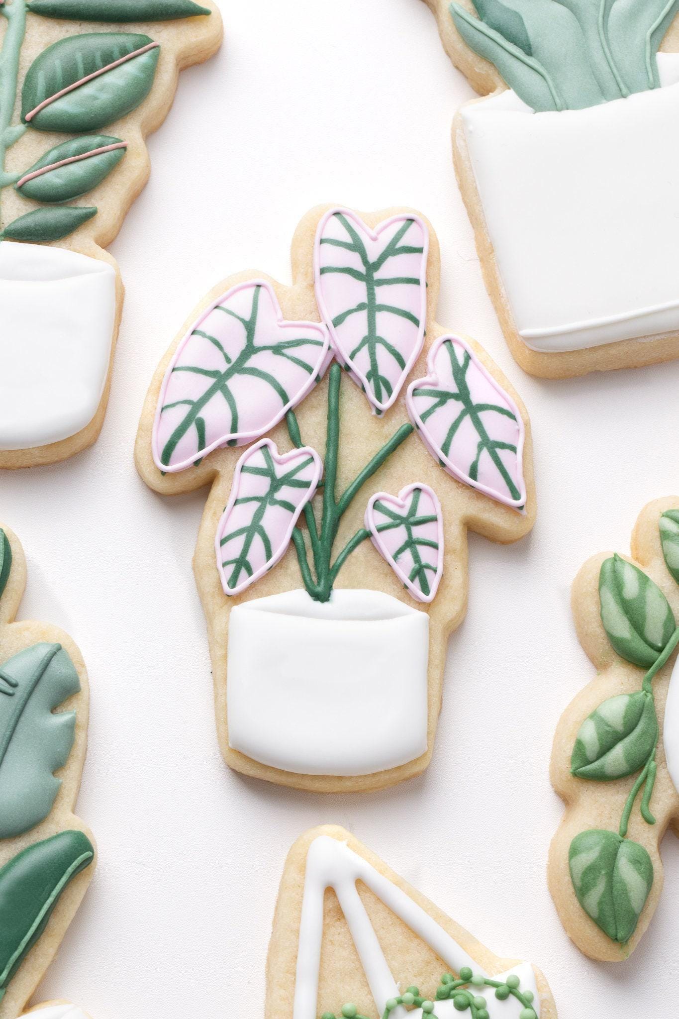 Alocasia Plant Cookie Cutter