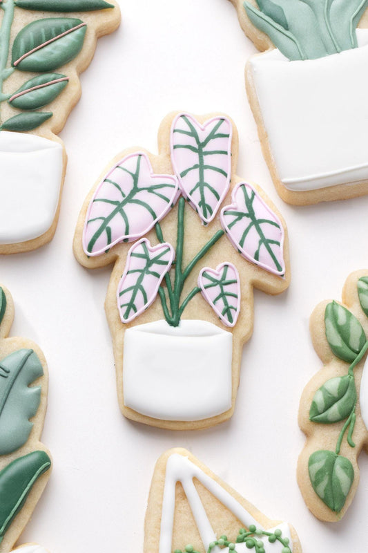 Alocasia Plant Cookie Cutter