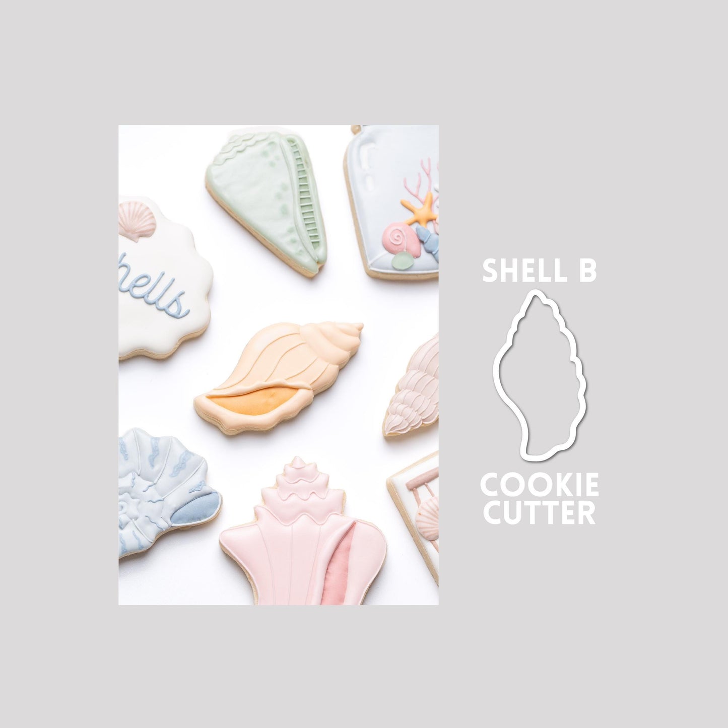 Decorated seashell sugar cookie next to a seashell cookie cutter outline on a gray background.