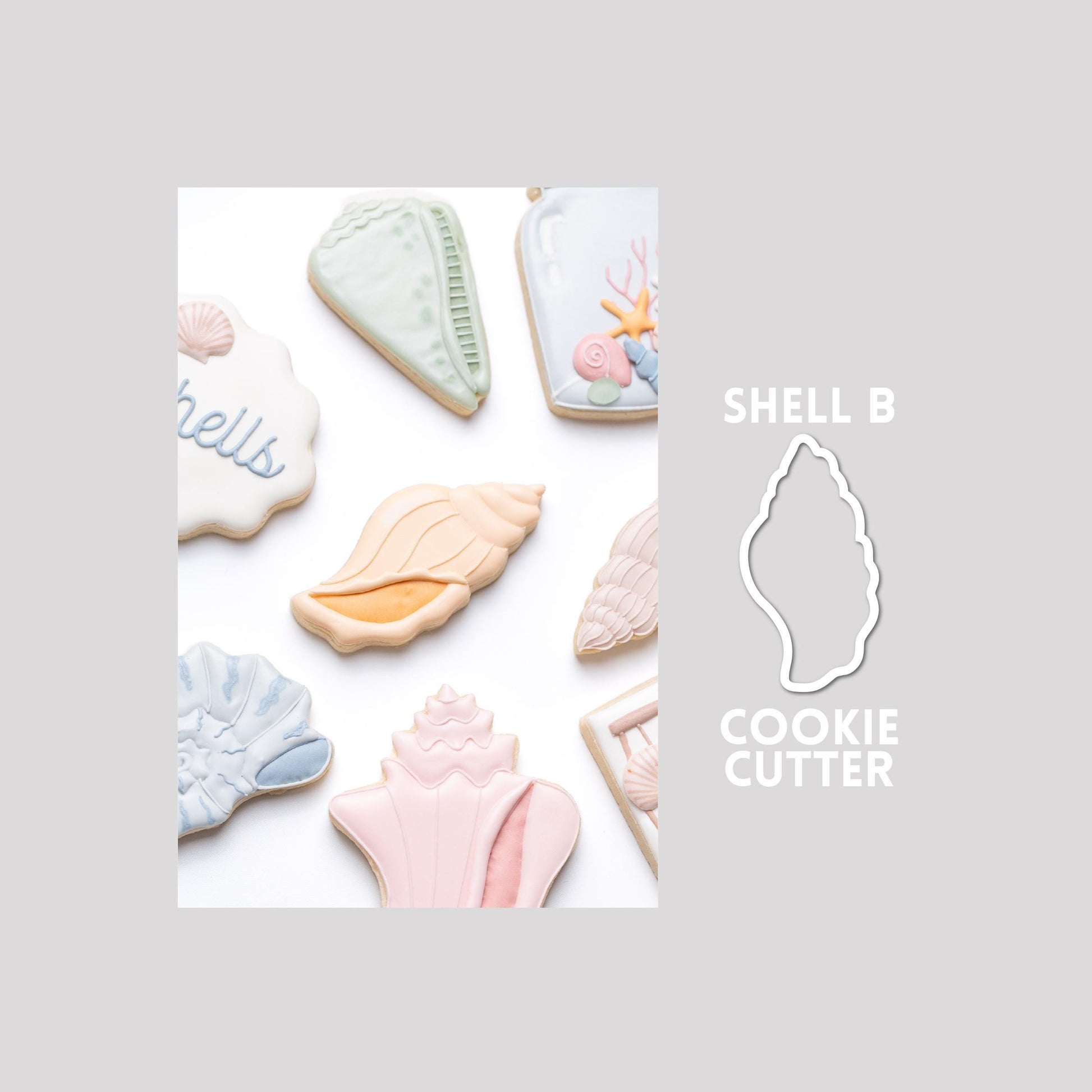 Decorated seashell sugar cookie next to a seashell cookie cutter outline on a gray background.