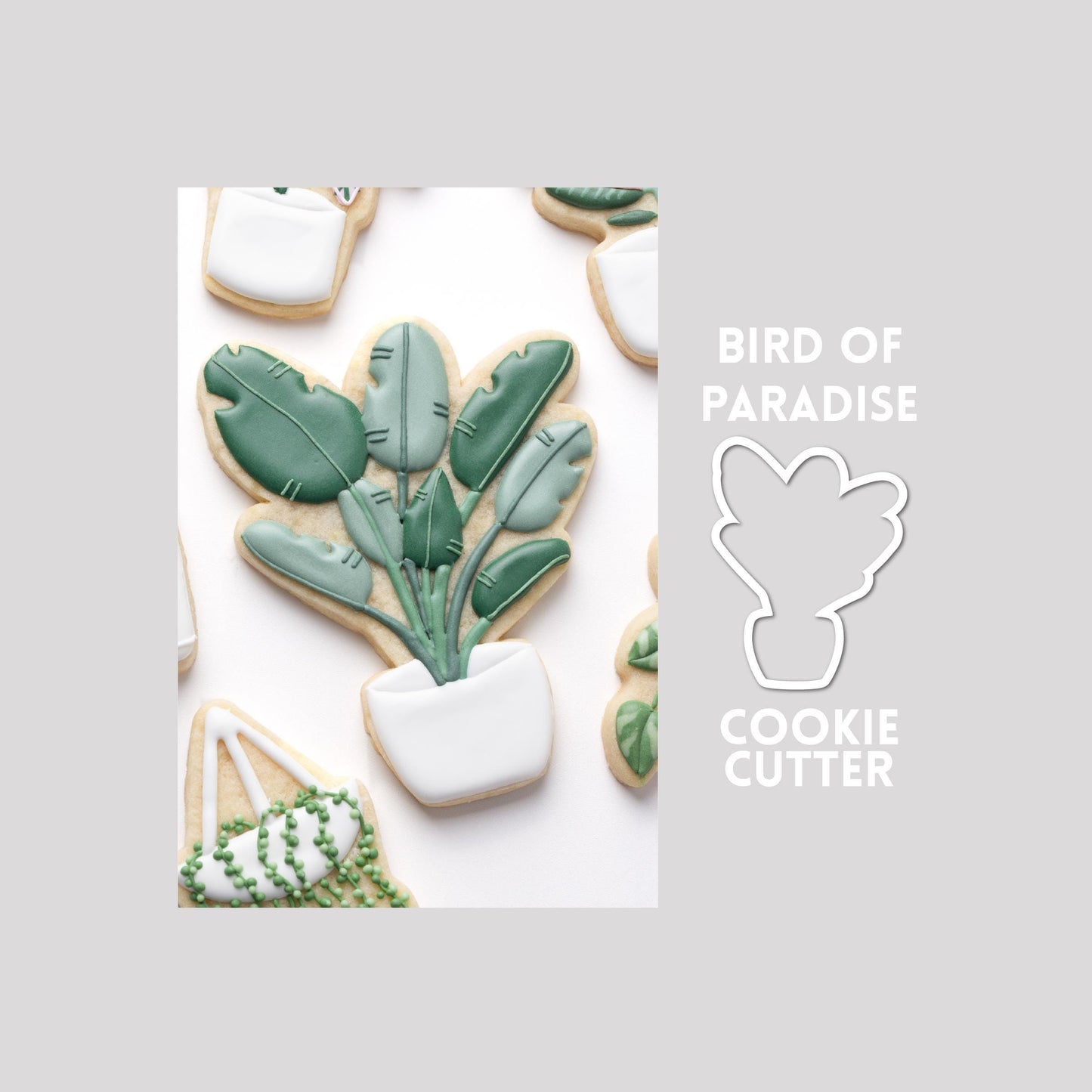 Decorated bird of paradise plant sugar cookie next to a bird of paradise plant cookie cutter outline on a gray background.