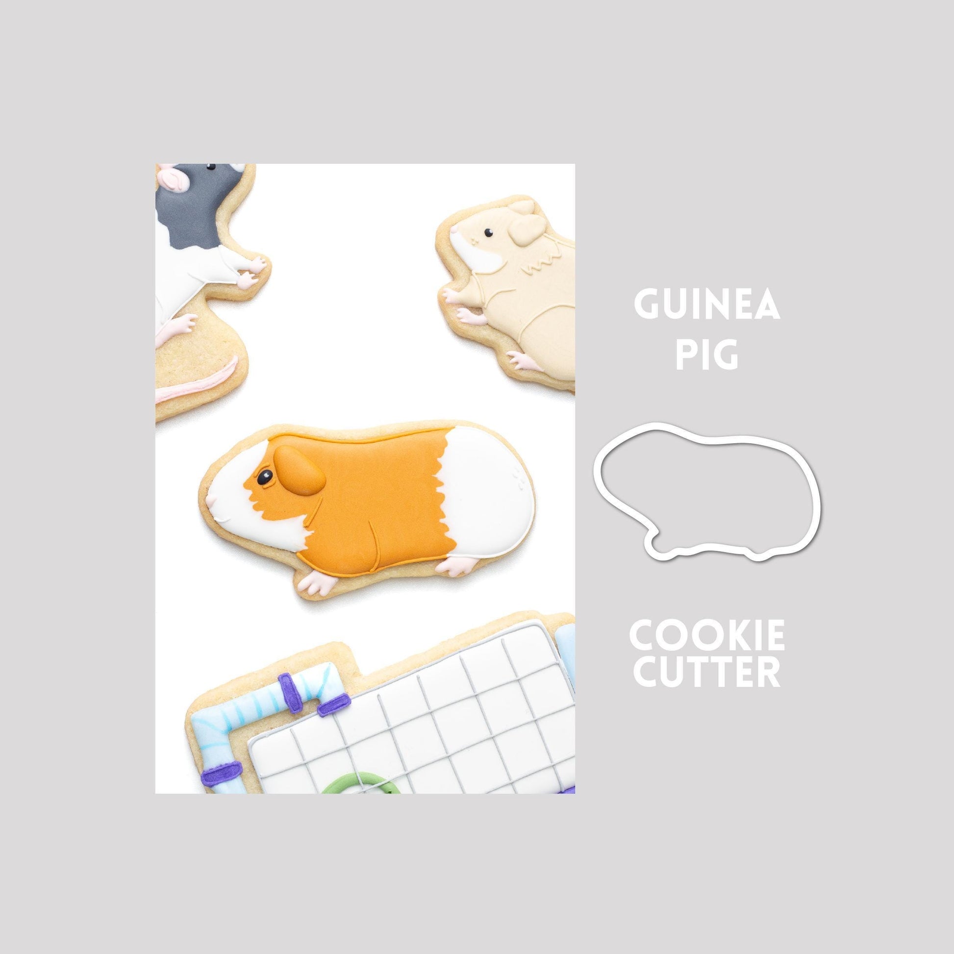 Decorated guinea pig sugar cookie next to a guinea pig cookie cutter outline on a gray background.
