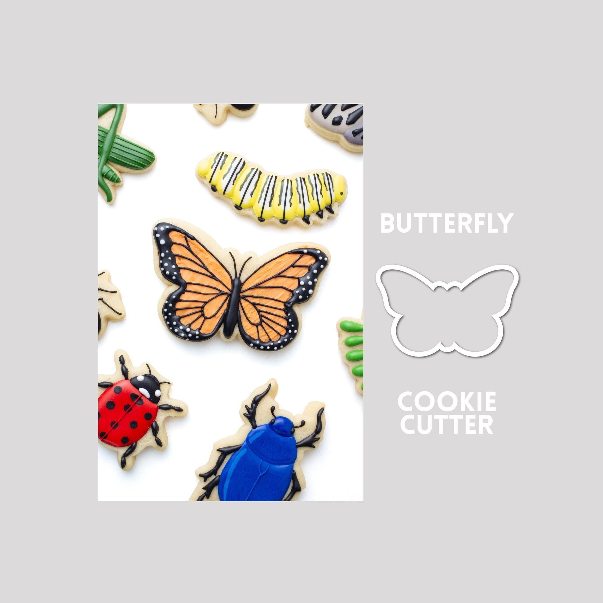 Decorated butterfly sugar cookie next to a butterfly cookie cutter outline on a gray background.