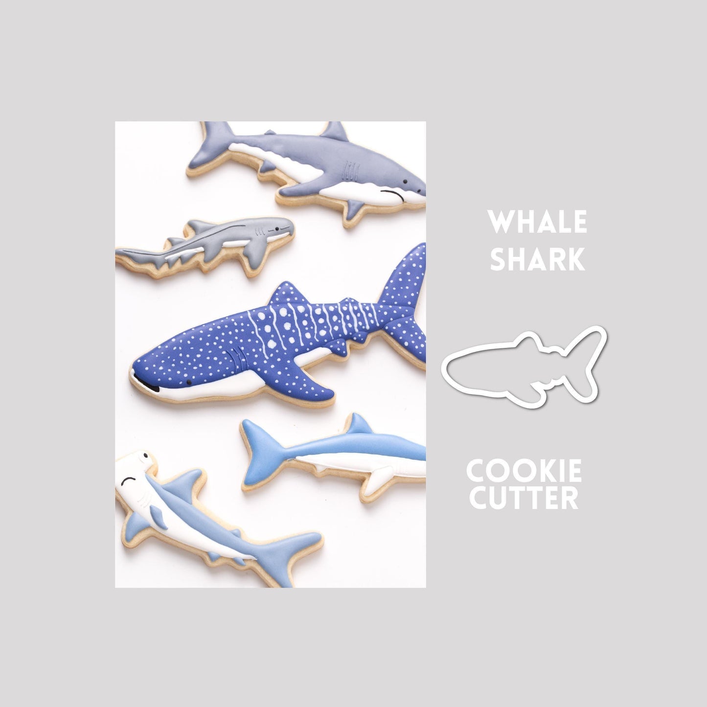 Decorated whale shark sugar cookie next to a whale shark cookie cutter outline on a gray background.