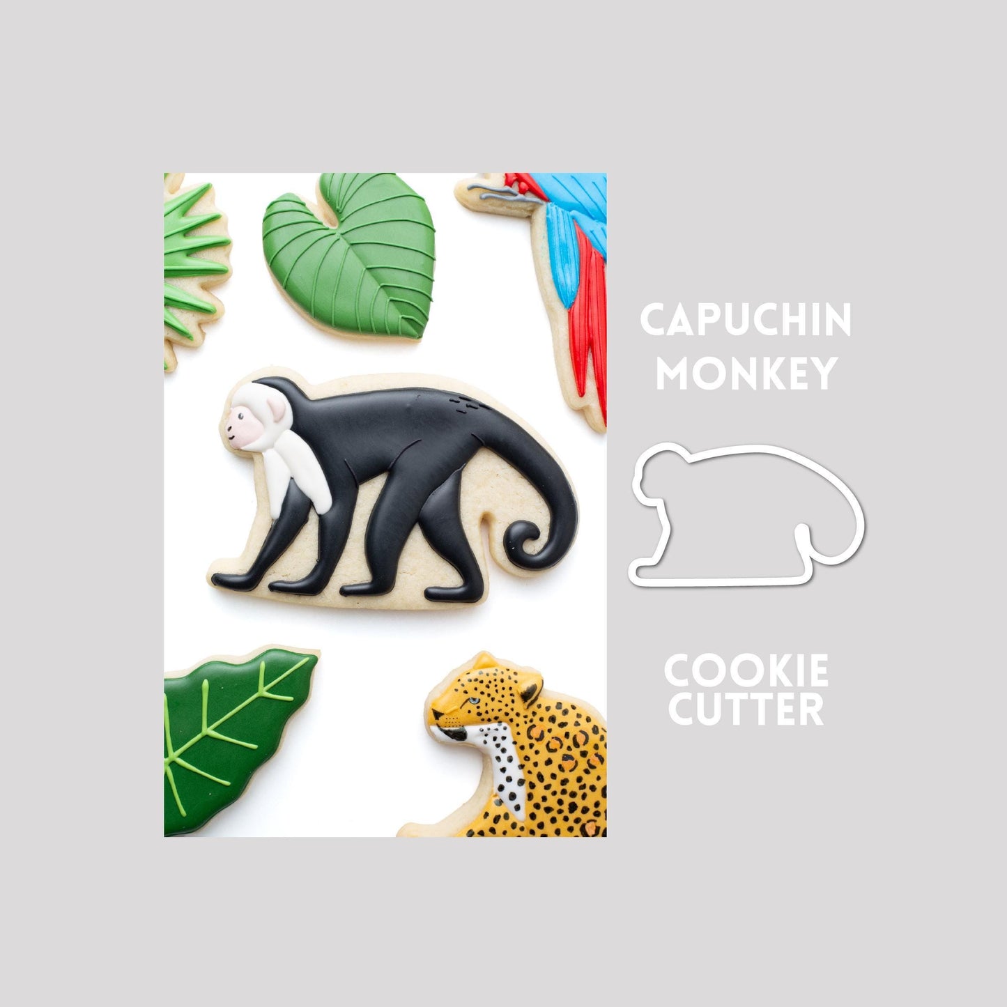 Decorated capuchin monkey sugar cookie next to a capuchin monkey cookie cutter outline on a gray background.