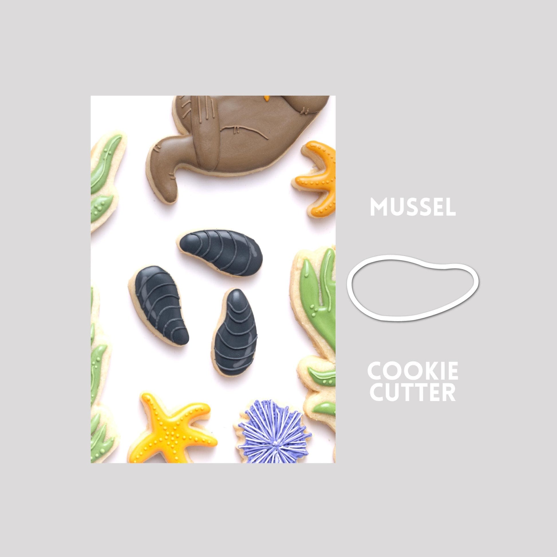 Decorated mussel sugar cookie next to a mussel cookie cutter outline on a gray background.