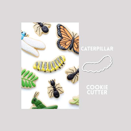 Decorated caterpillar sugar cookie next to a caterpillar cookie cutter outline on a gray background.