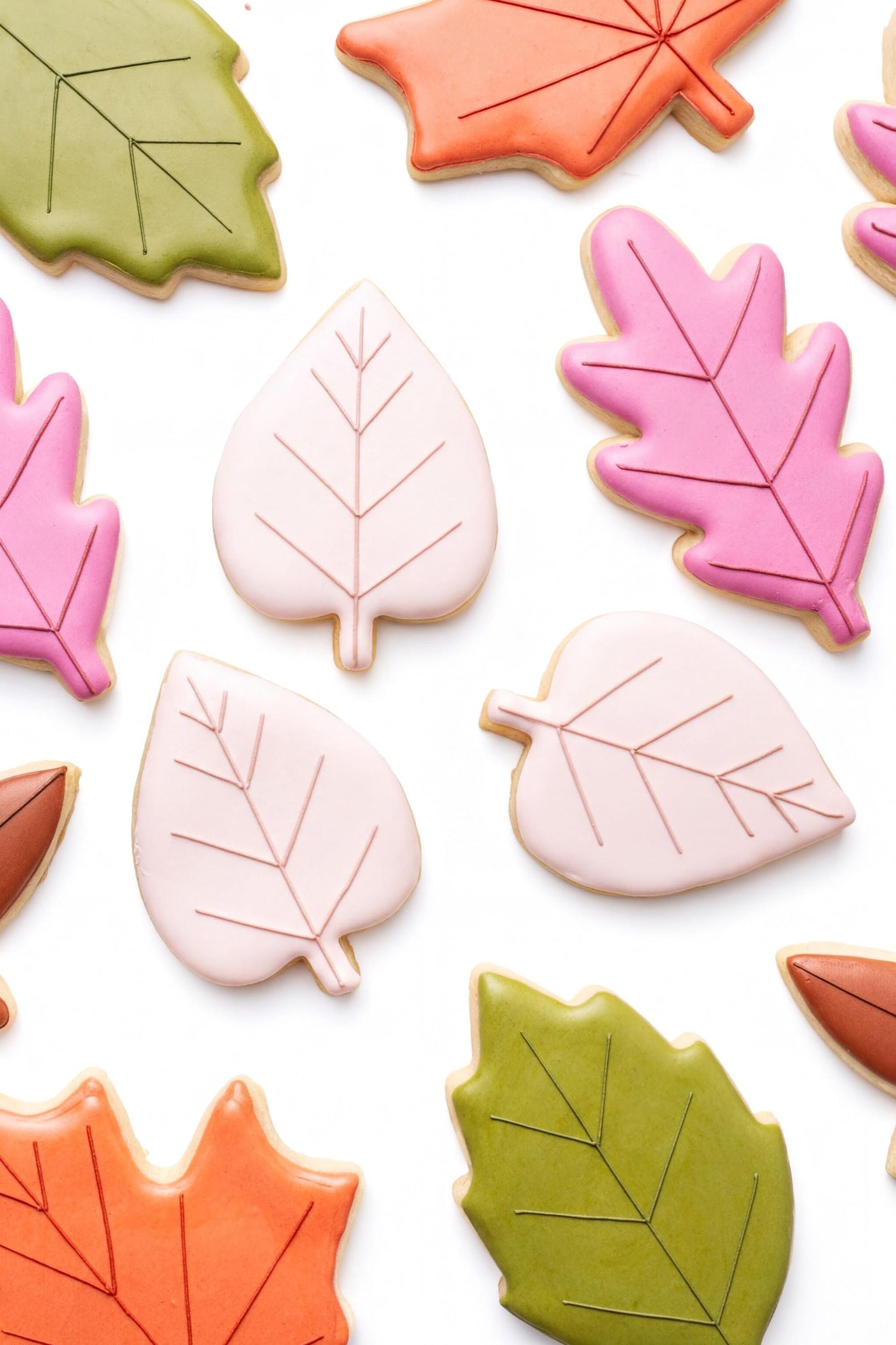 a variety of colorful, frosted cookies shaped like leaves, including maple leaves, oak leaves, and other autumn-themed designs.