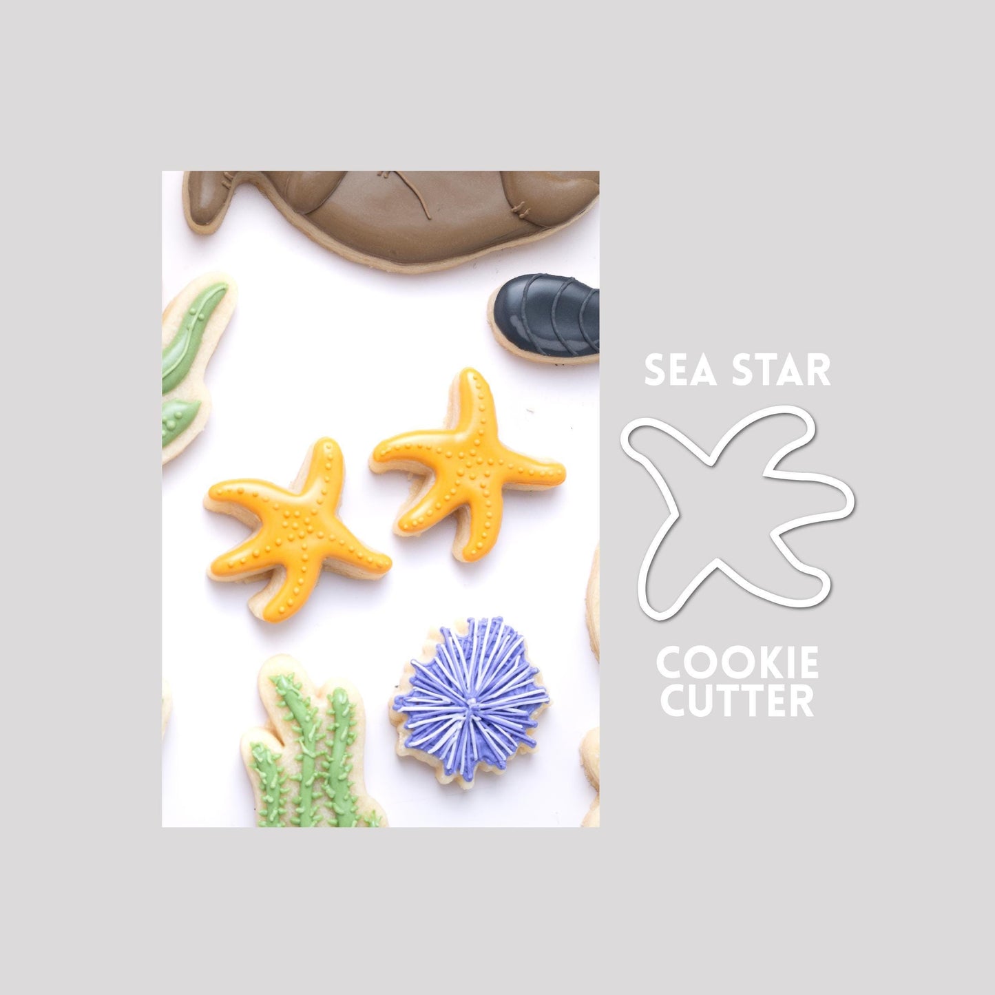 Decorated sea star sugar cookie next to a sea star cookie cutter outline on a gray background.