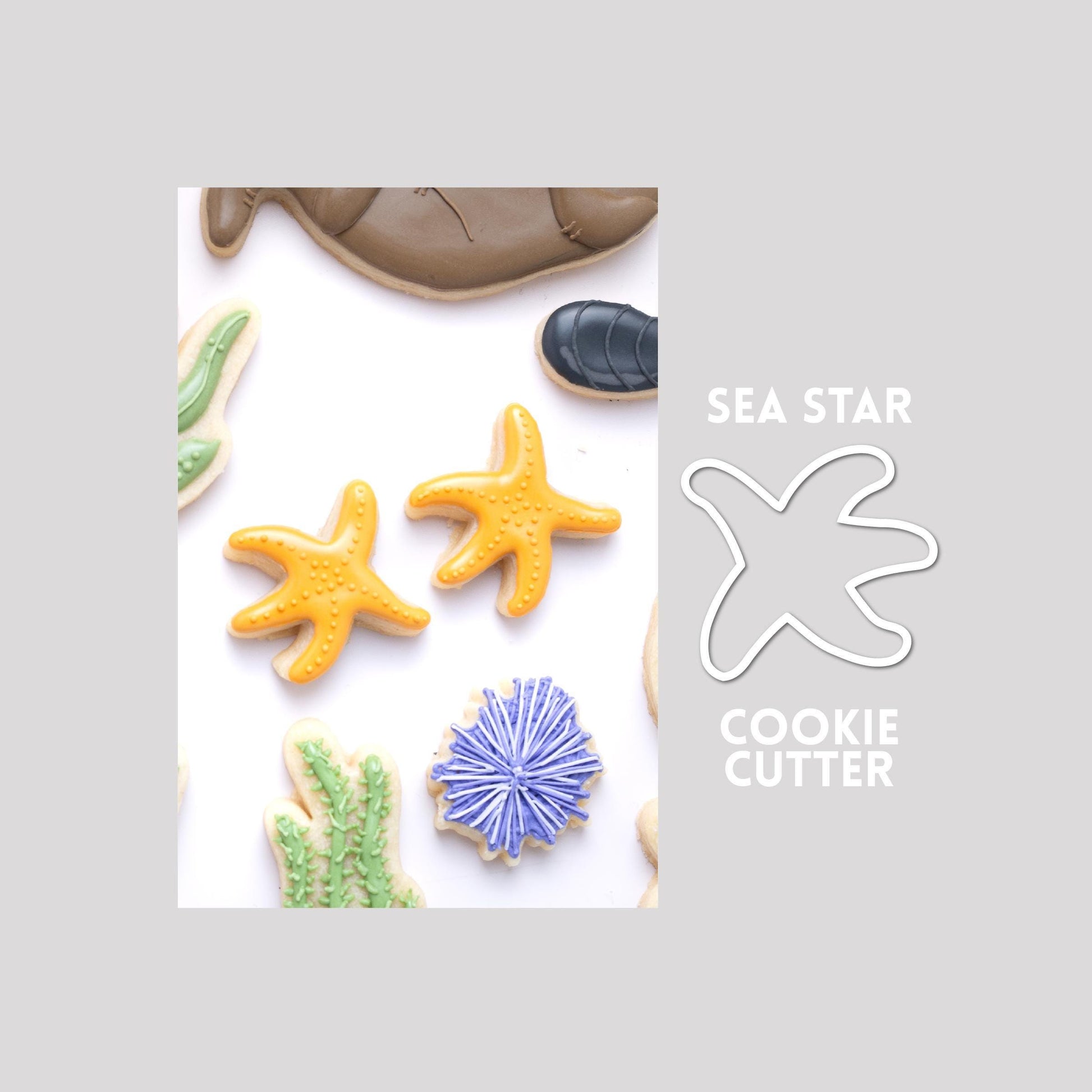 Decorated sea star sugar cookie next to a sea star cookie cutter outline on a gray background.