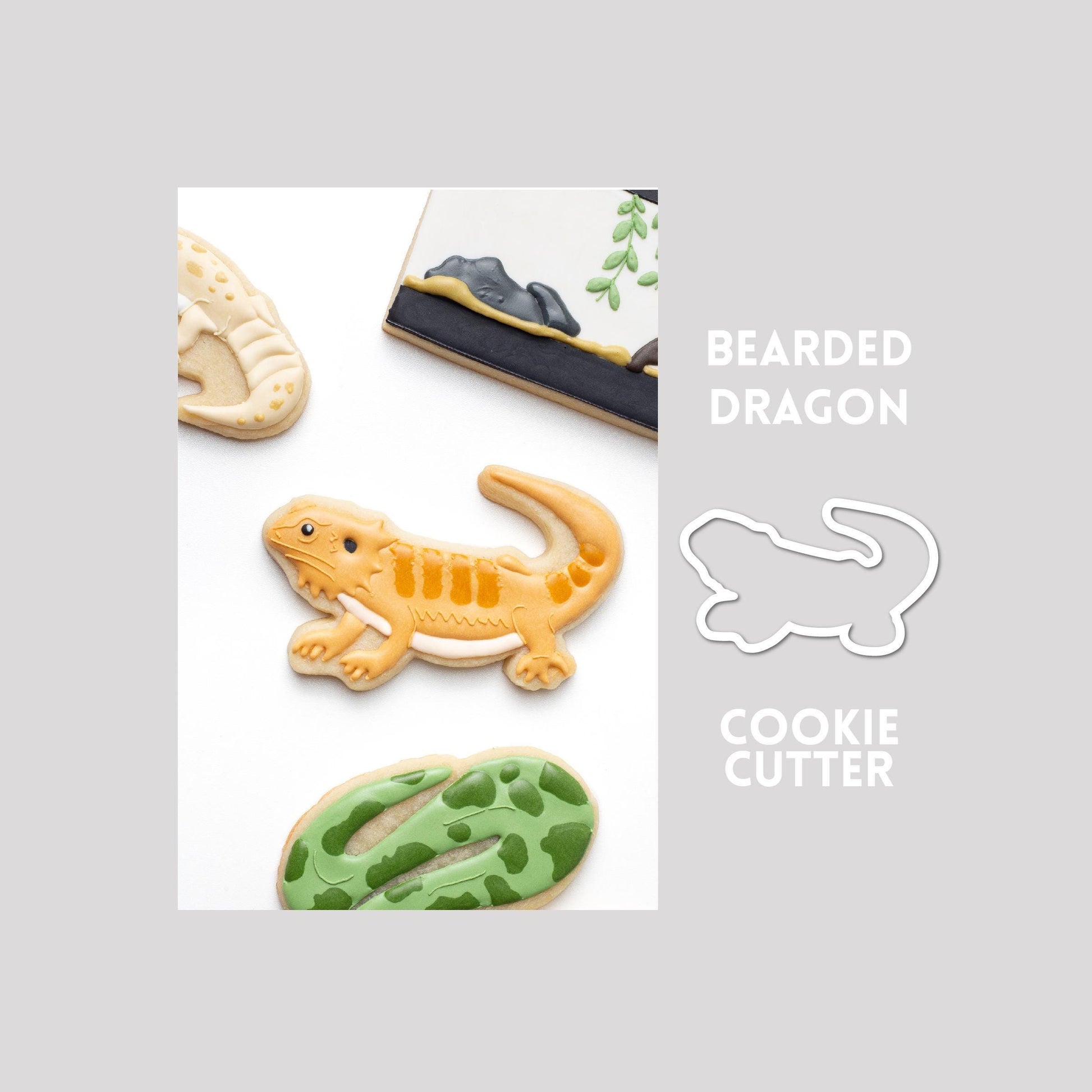 Decorated bearded dragon sugar cookie next to a bearded dragon cookie cutter outline on a gray background.
