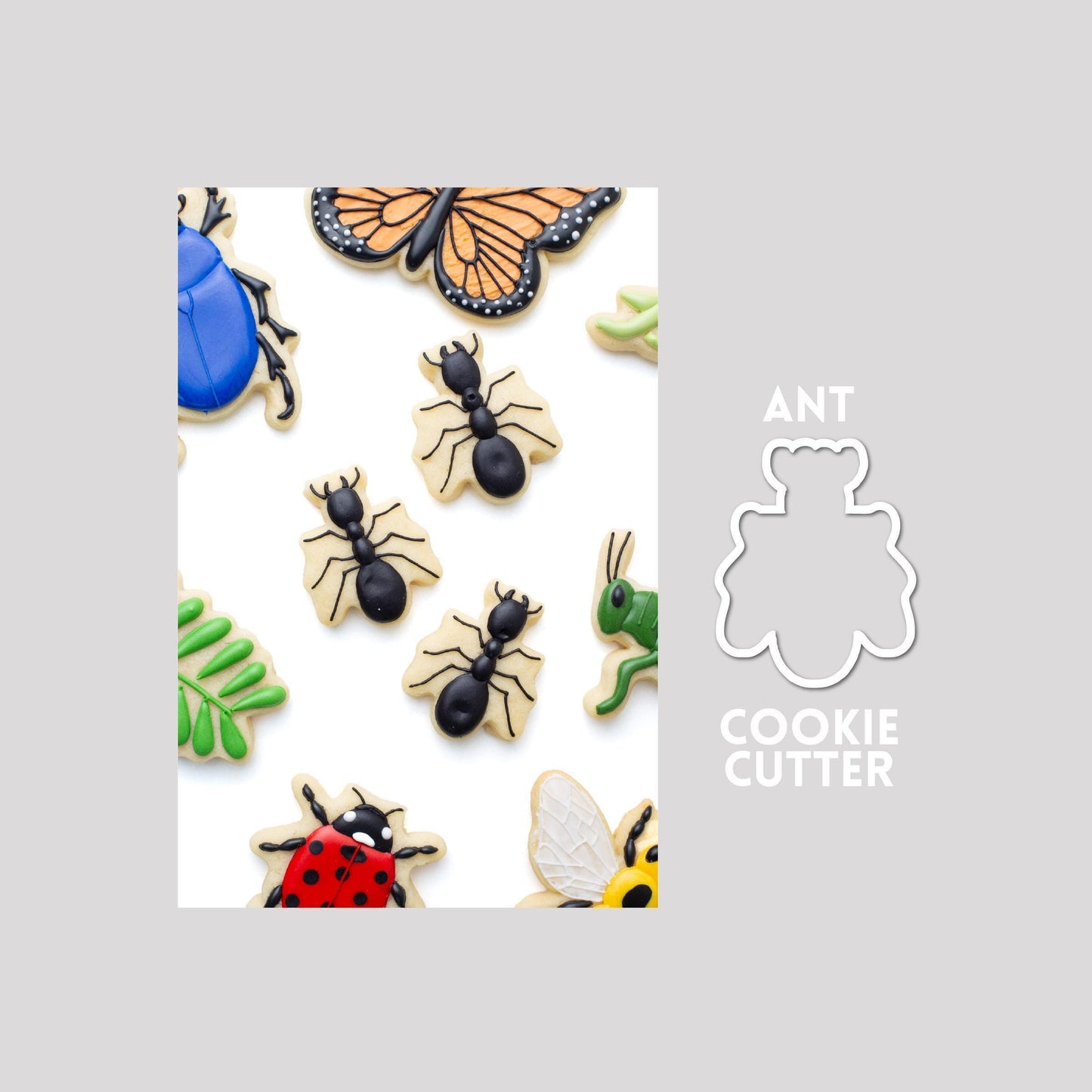 Decorated ant sugar cookie next to a ant cookie cutter outline on a gray background.