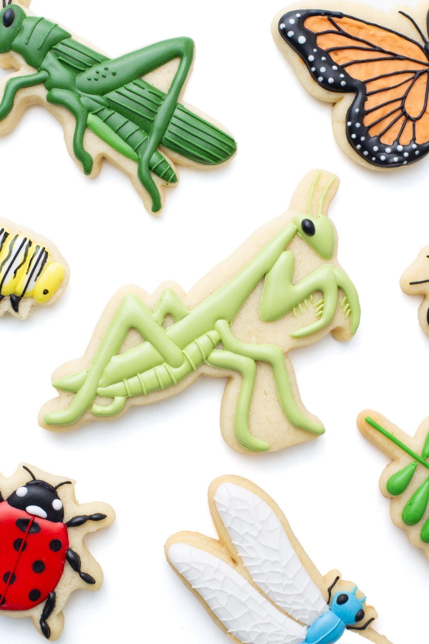 Dragonfly Cookie Cutter