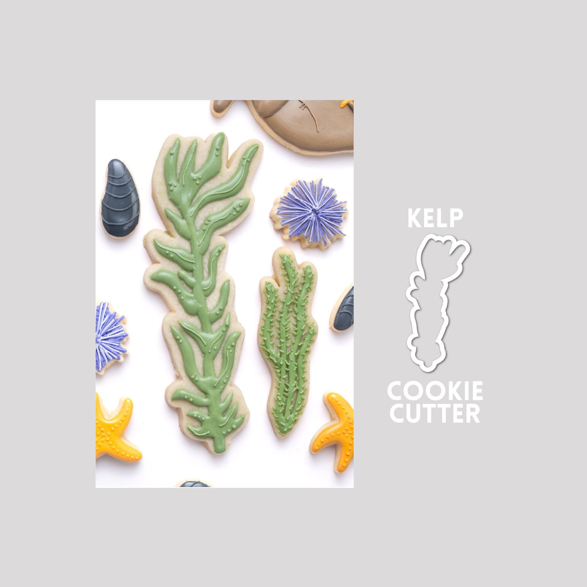 Decorated kelp sugar cookie next to a kelp cookie cutter outline on a gray background.