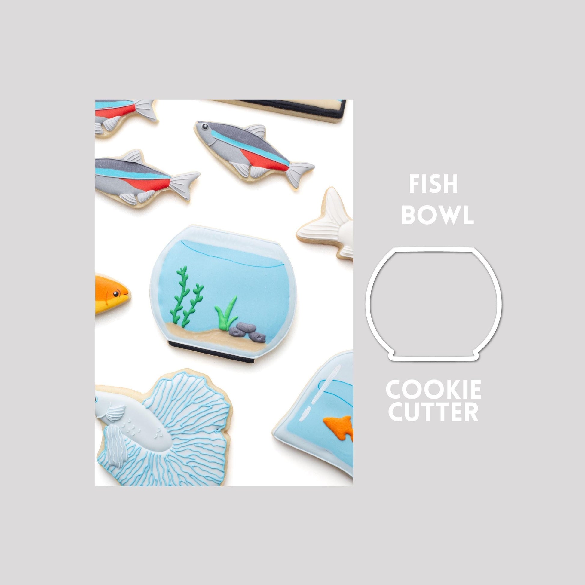 Decorated fish bowl sugar cookie next to a fish bowl cookie cutter outline on a gray background.