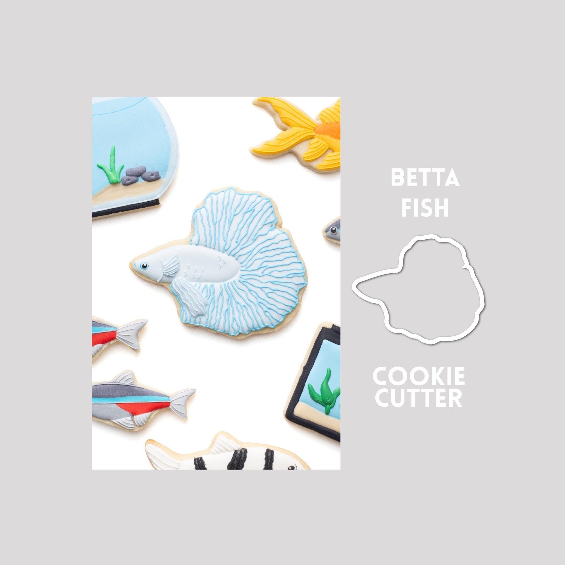 Decorated betta fish sugar cookie next to a betta fish cookie cutter outline on a gray background.