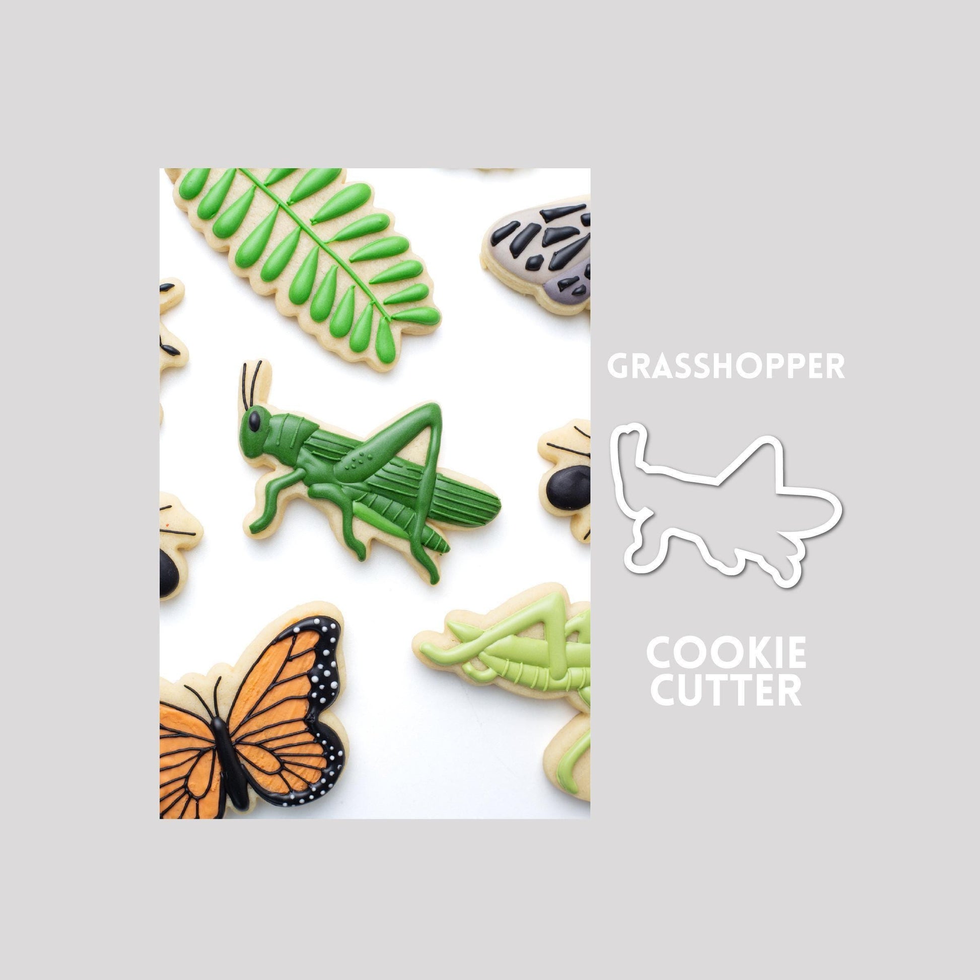 Decorated grasshopper sugar cookie next to a grasshopper cookie cutter outline on a gray background.