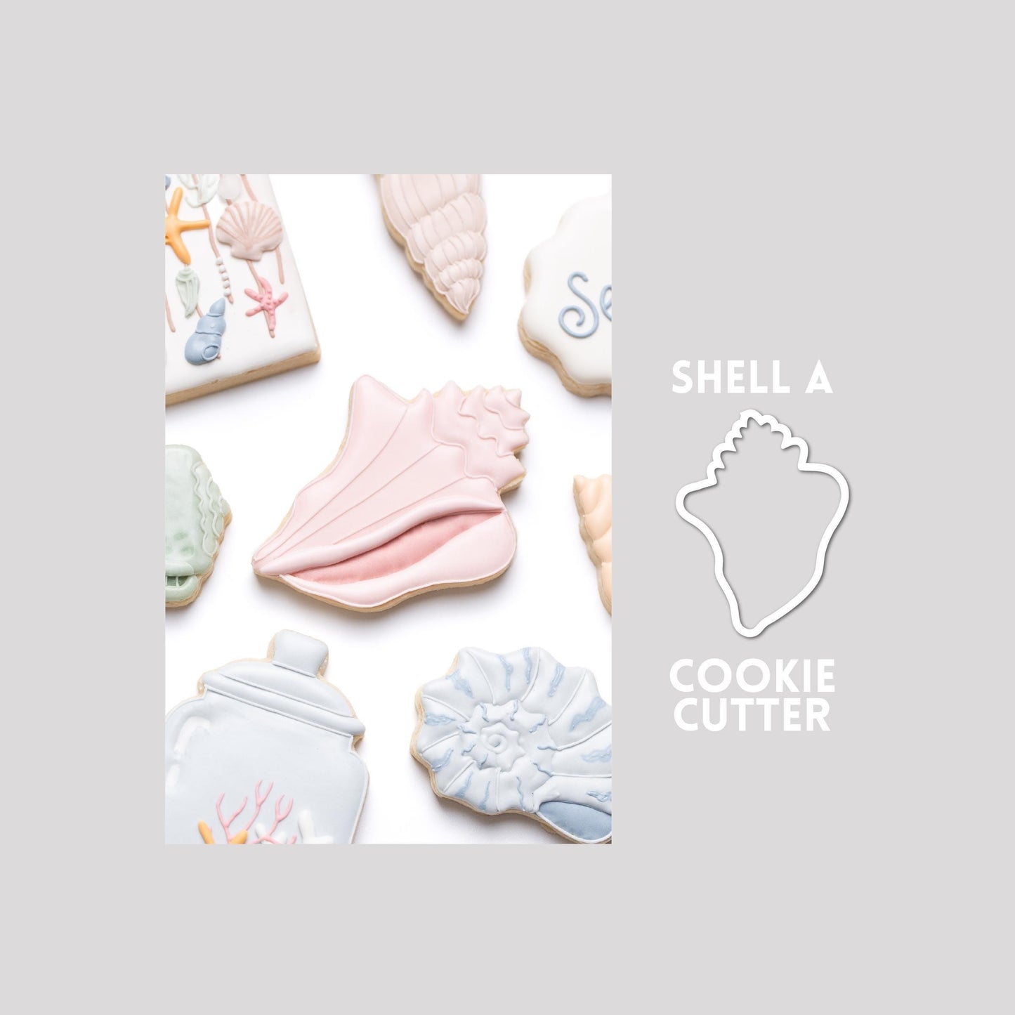 Decorated seashell sugar cookie next to a seashell cookie cutter outline on a gray background.