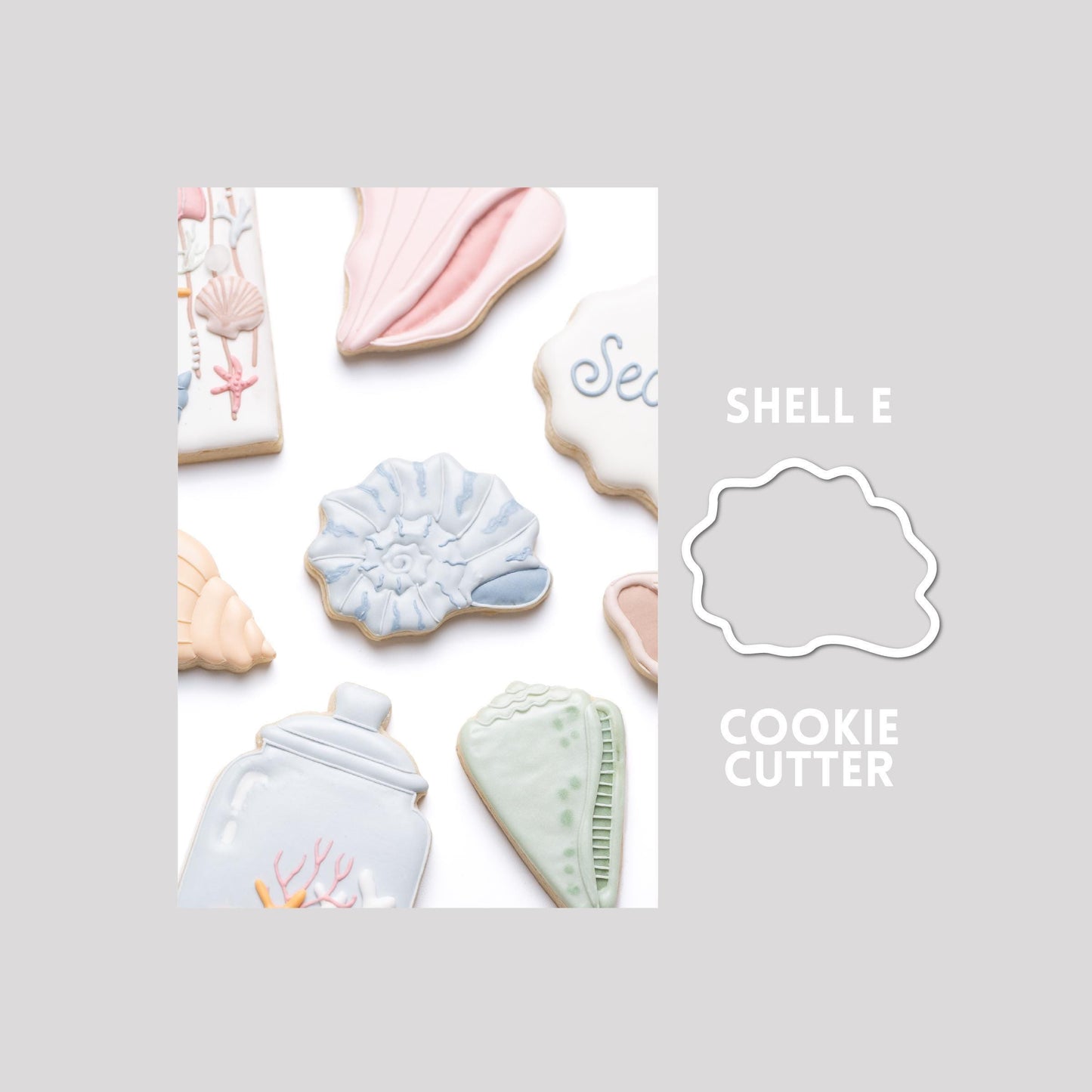 Decorated seashell sugar cookie next to a seashell cookie cutter outline on a gray background.