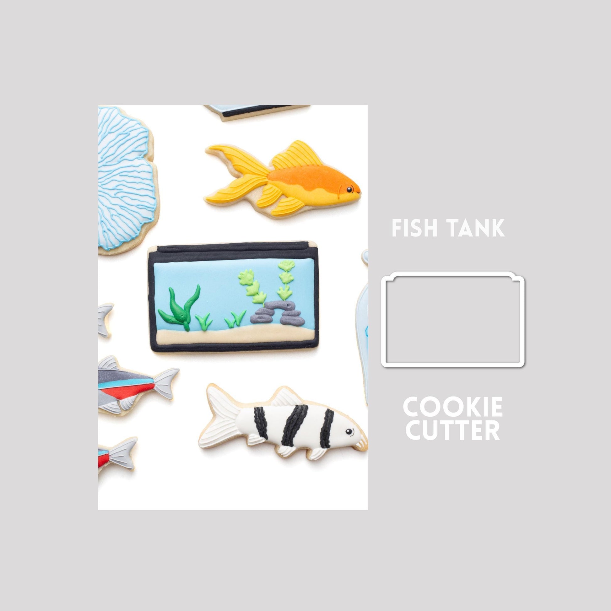 Decorated fish tank sugar cookie next to a fish tank cookie cutter outline on a gray background.