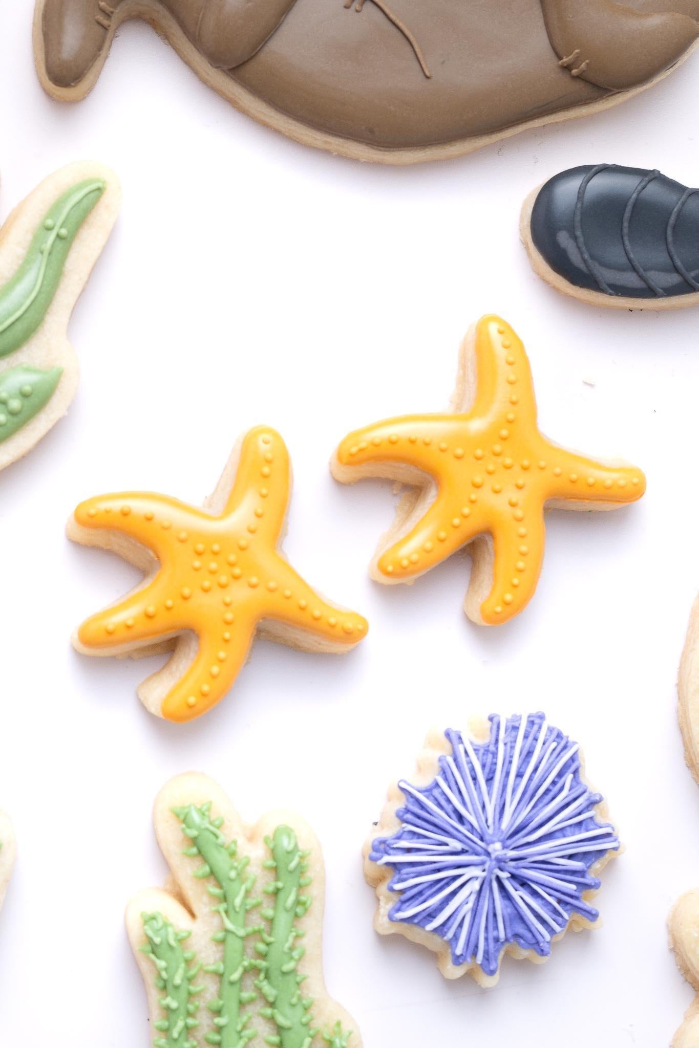 Mussel Cookie Cutter