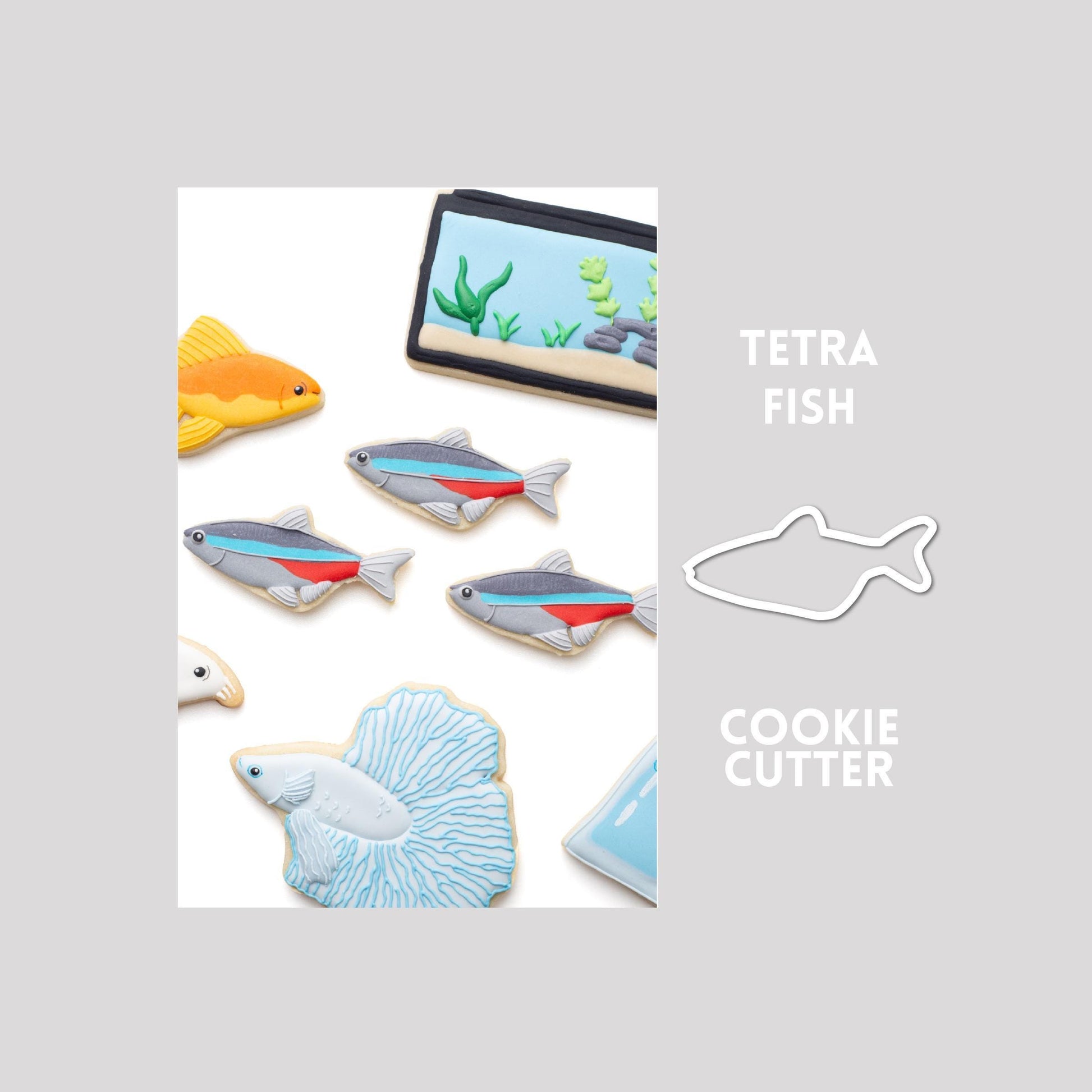 Decorated tetra fish sugar cookie next to a tetra fish cookie cutter outline on a gray background.