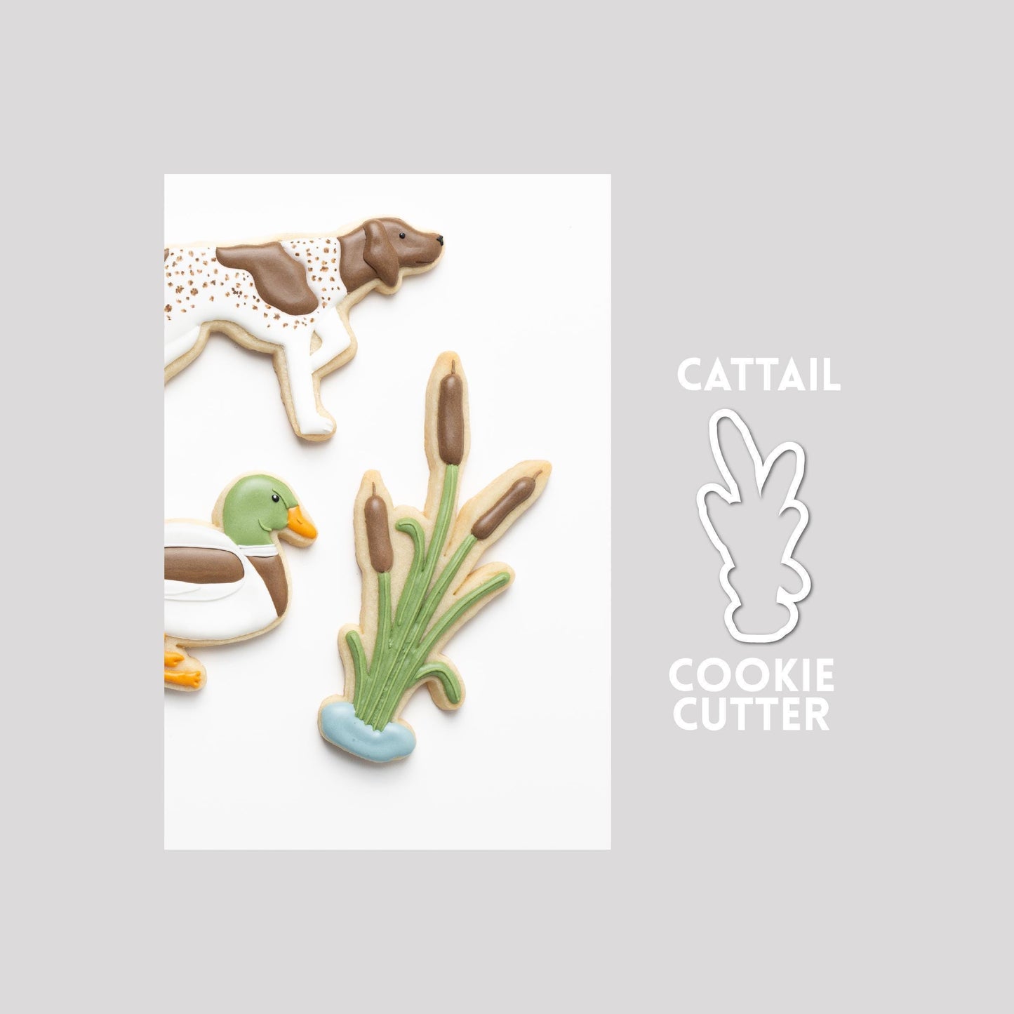 Decorated cattail sugar cookie next to a cattail cookie cutter outline on a gray background.