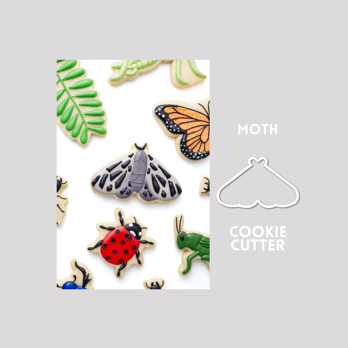 Decorated moth sugar cookie next to a moth cookie cutter outline on a gray background.
