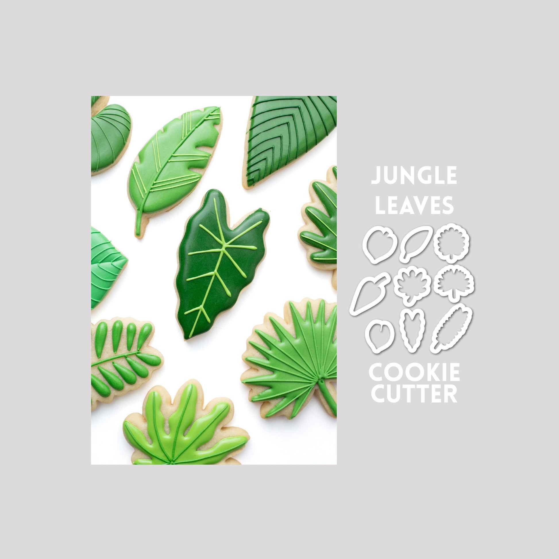 Decorated jungle leaves sugar cookies next to a jungle leaves cookie cutter outlines on a gray background.