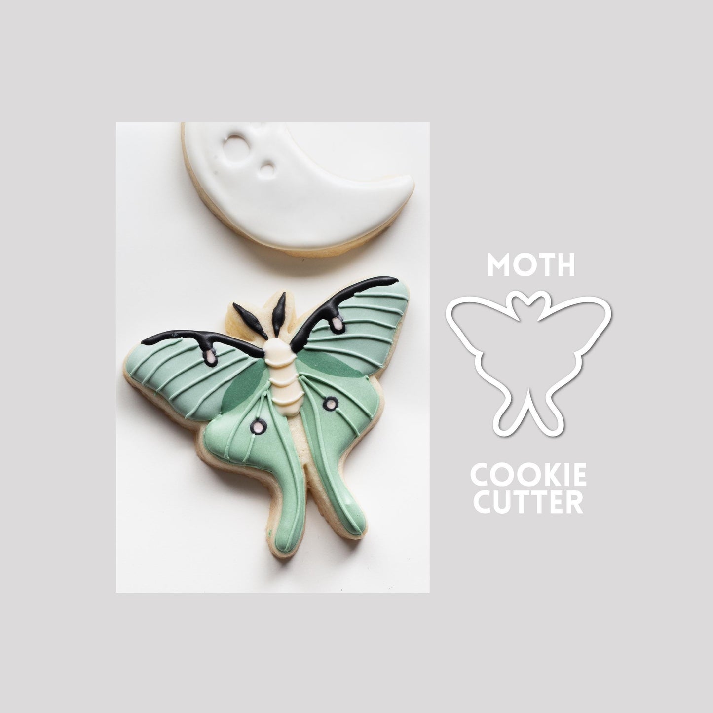 Decorated moth sugar cookie next to a moth cookie cutter outline on a gray background.