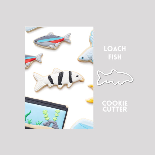 Decorated loach fish sugar cookie next to a loach fish cookie cutter outline on a gray background.