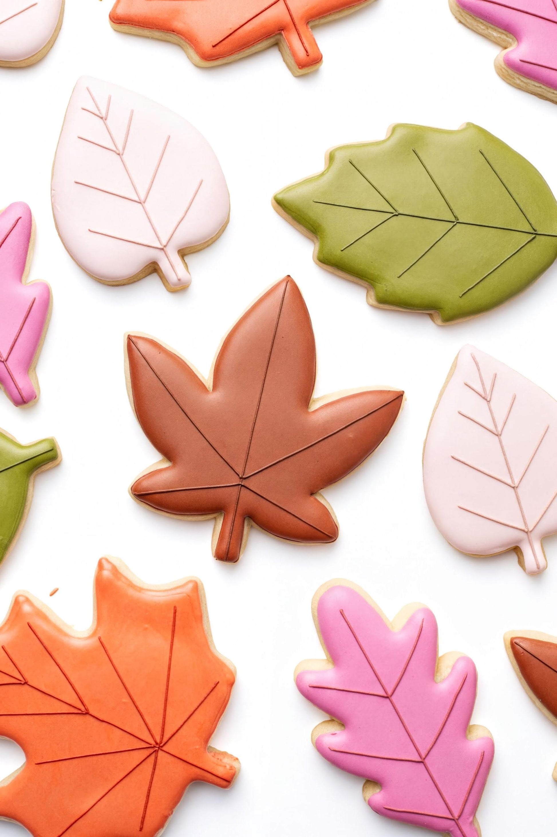 a variety of colorful cookies shaped like leaves, including maple leaves, oak leaves, and other autumn-themed designs.