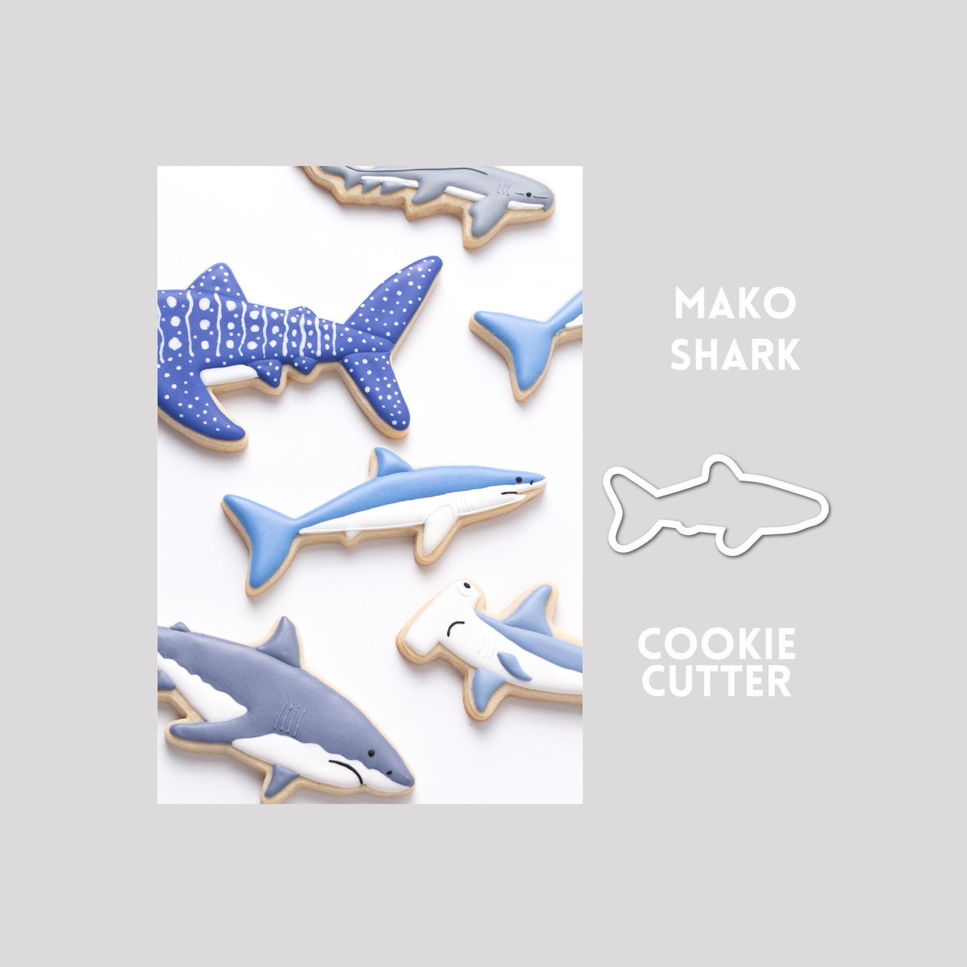 Decorated mako shark sugar cookie next to a mako shark cookie cutter outline on a gray background.
