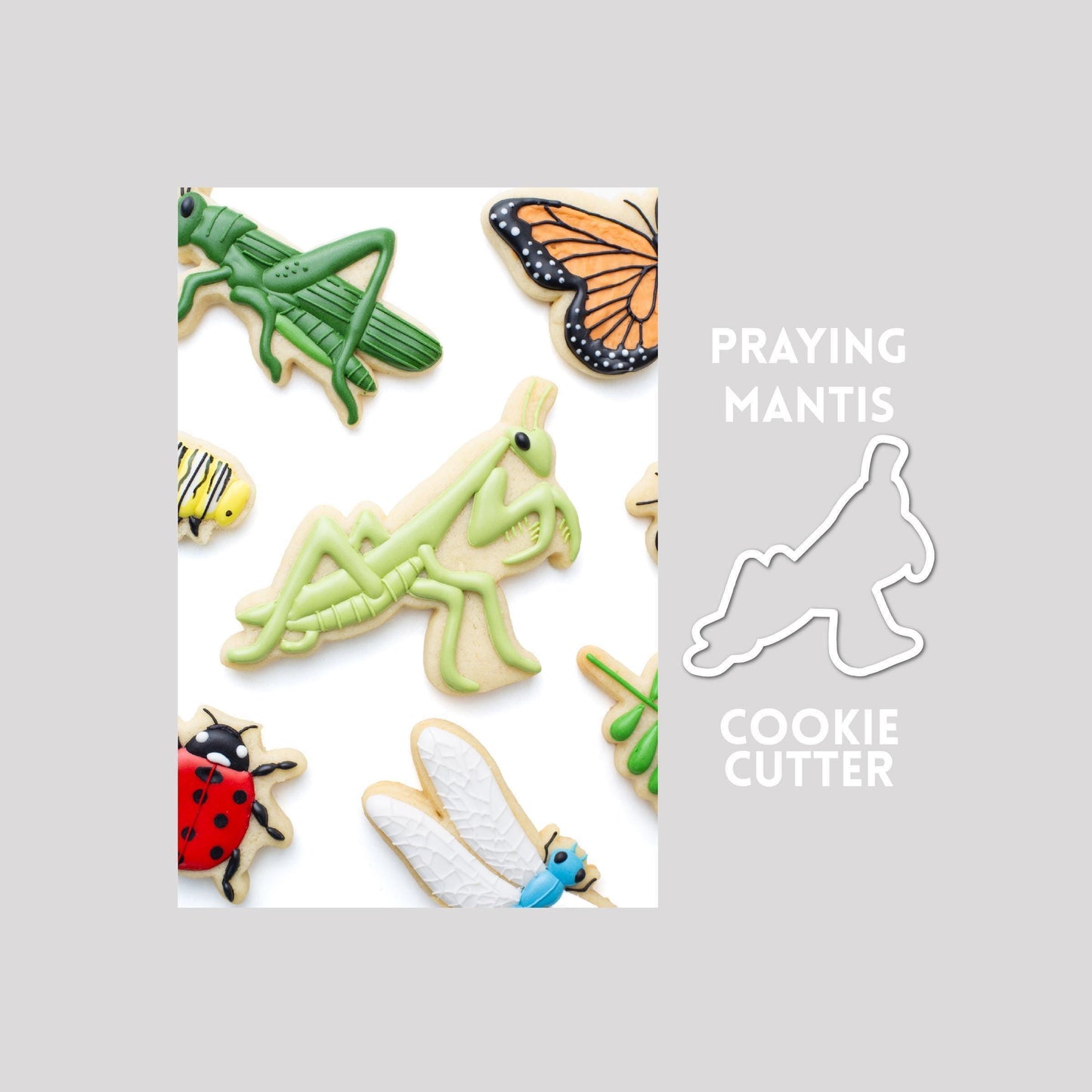 Decorated mantis sugar cookie next to a mantis cookie cutter outline on a gray background.