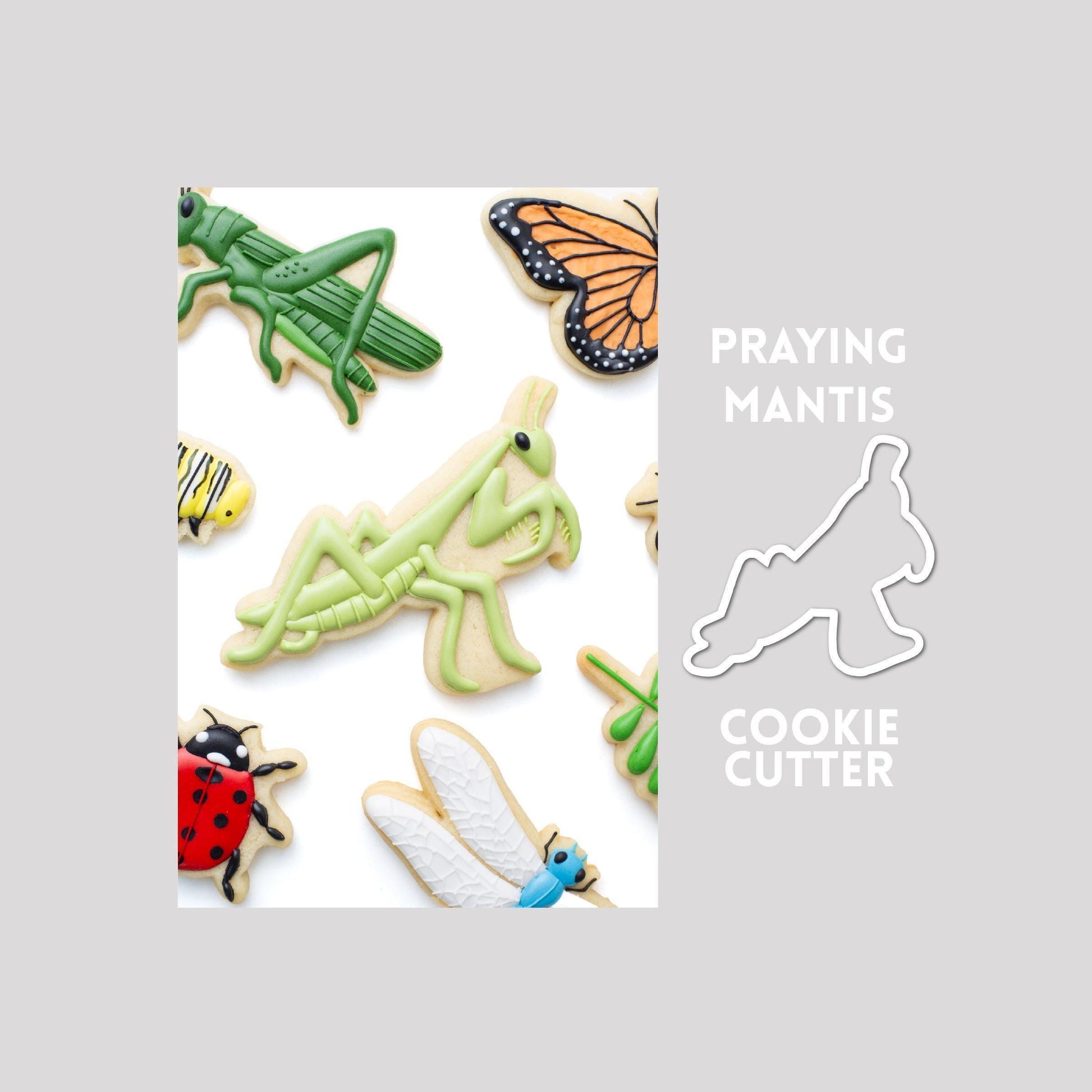 Decorated mantis sugar cookie next to a mantis cookie cutter outline on a gray background.
