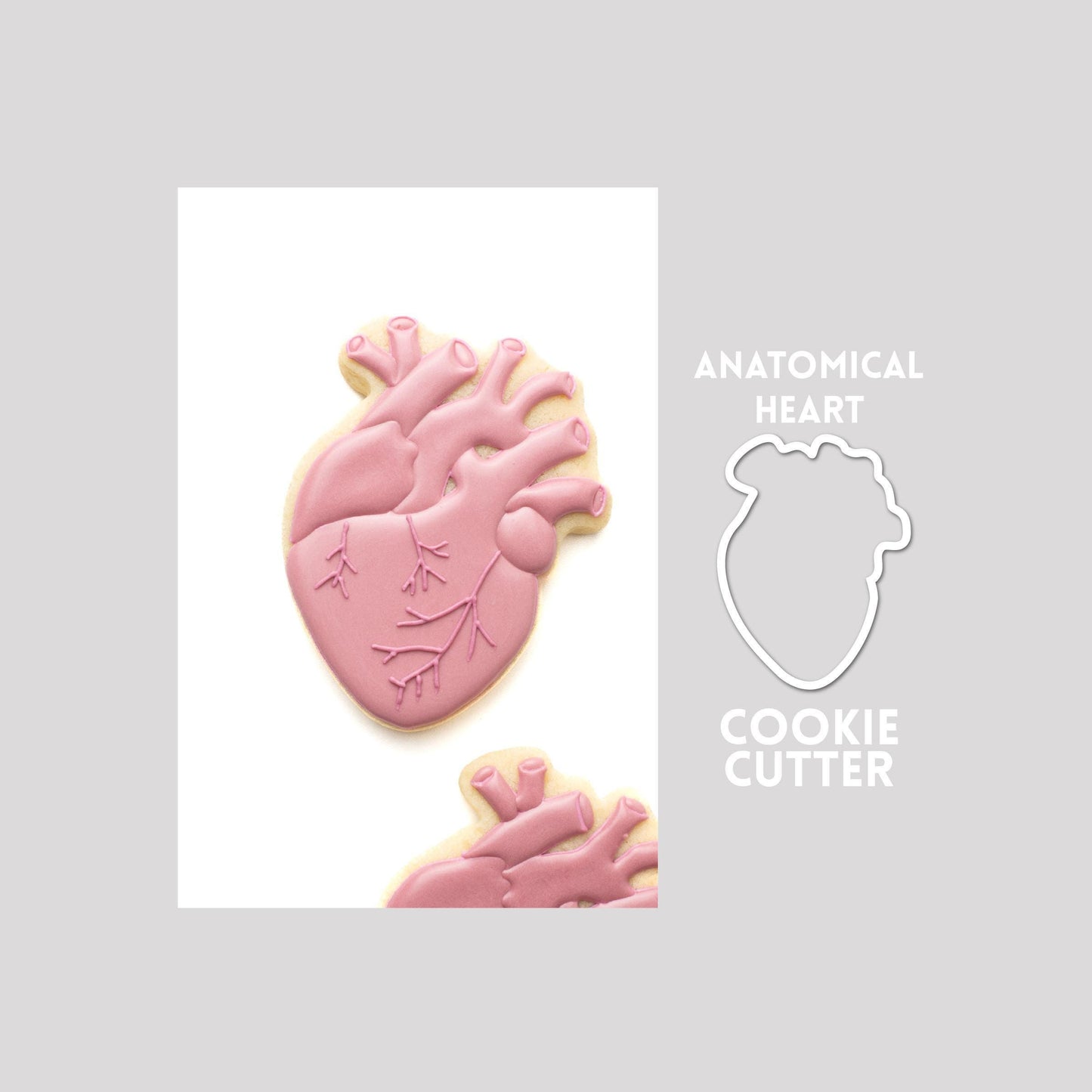 Decorated anatomical heart sugar cookie next to a anatomical heart cookie cutter outline on a gray background.