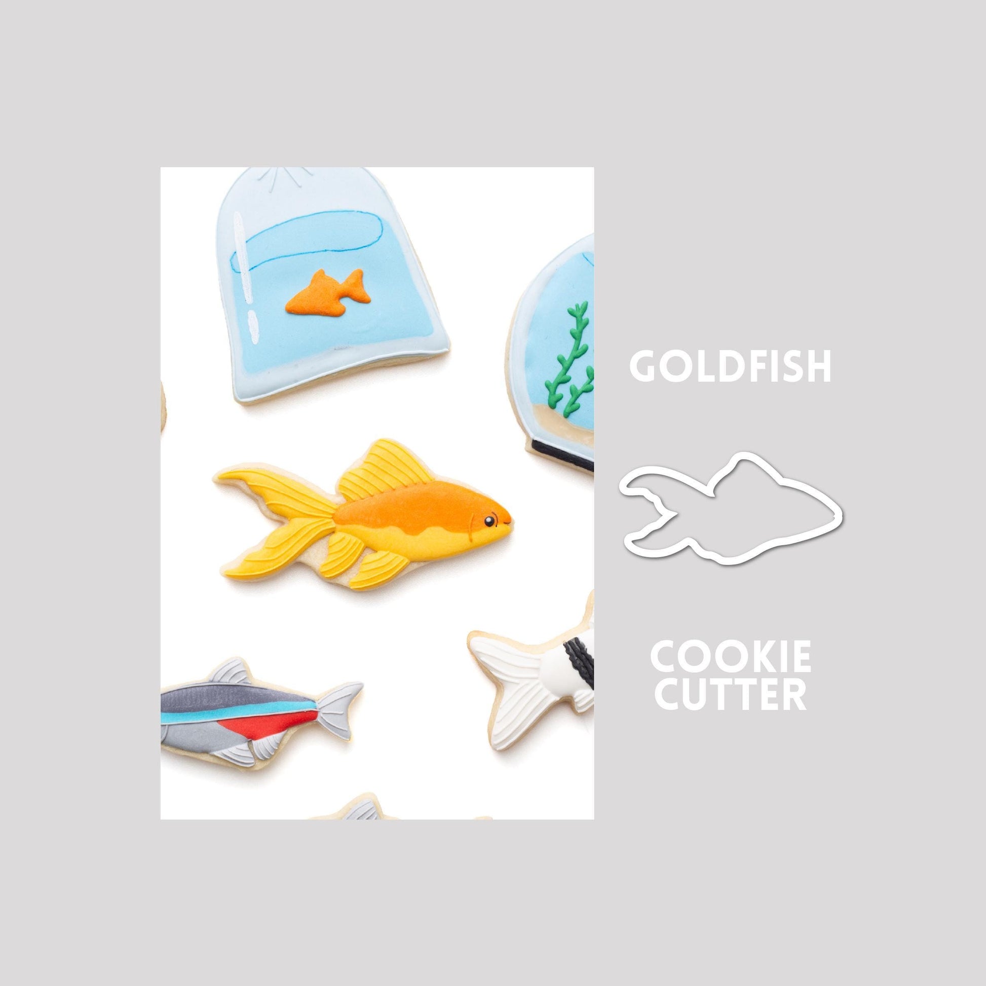 Decorated goldfish sugar cookie next to a goldfish cookie cutter outline on a gray background.