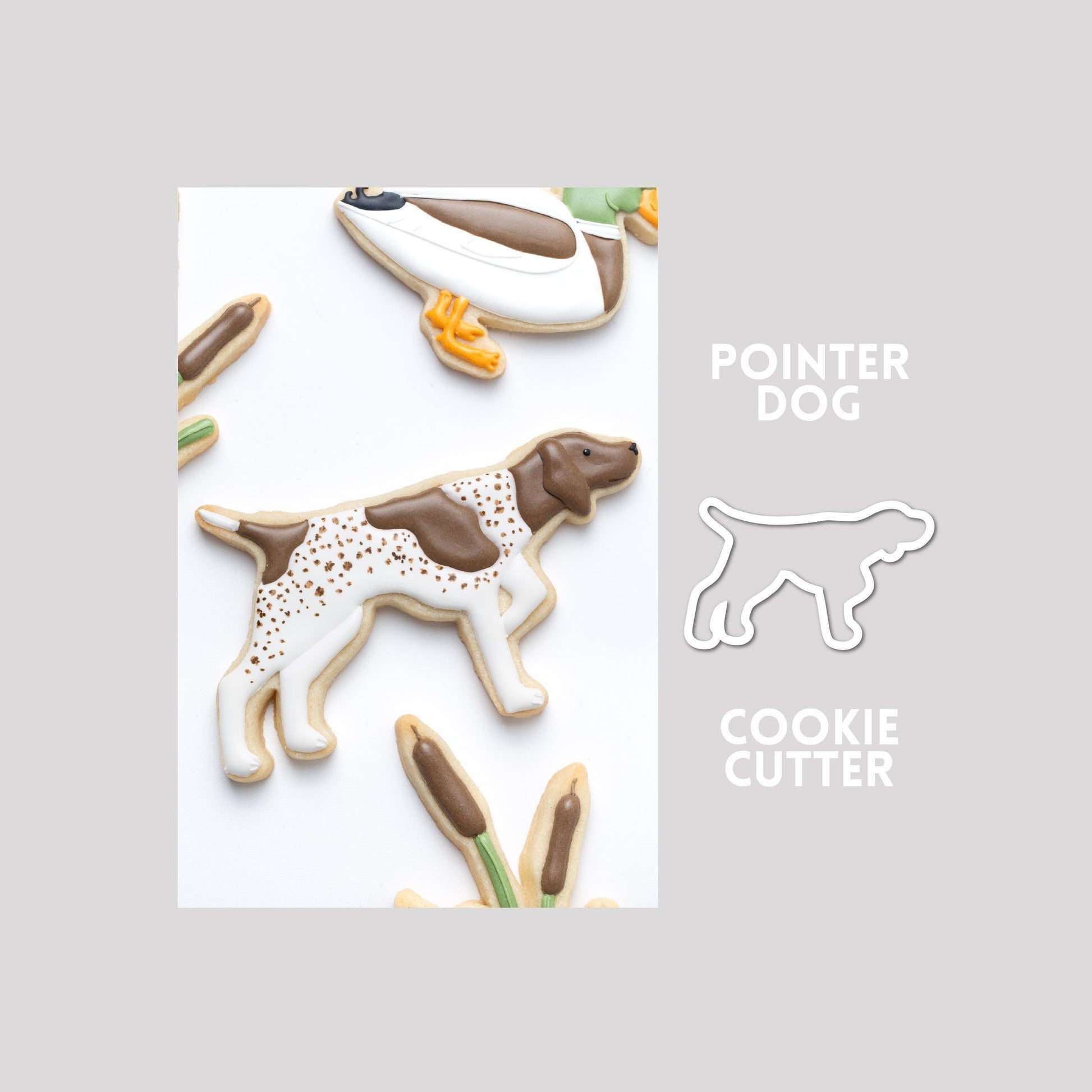Decorated pointer dog sugar cookie next to a pointer dog cookie cutter outline on a gray background.