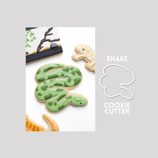 Decorated snake sugar cookie next to a snake cookie cutter outline on a gray background.