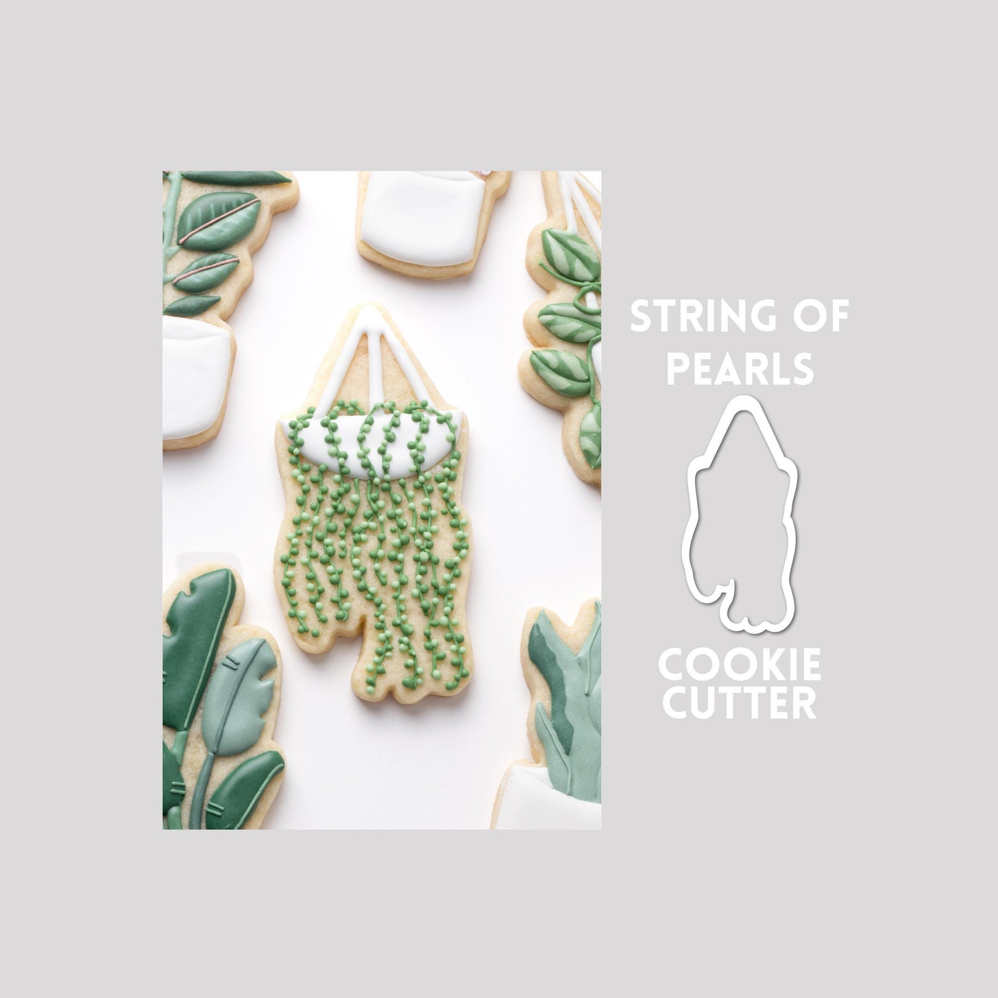 Decorated string of pearls plant sugar cookie next to a string of pearls plant cookie cutter outline on a gray background.