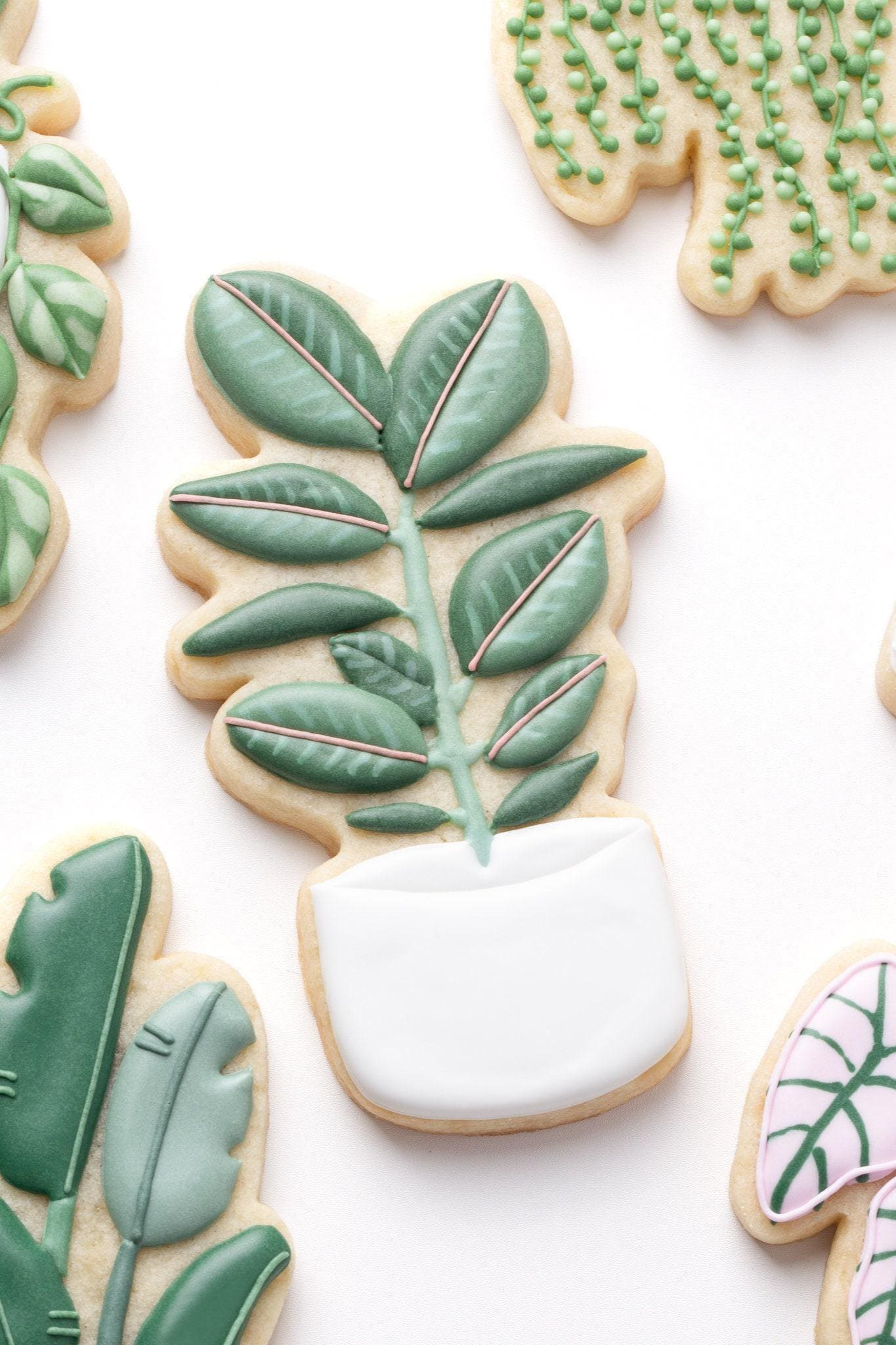 Rubber Plant Cookie Cutter