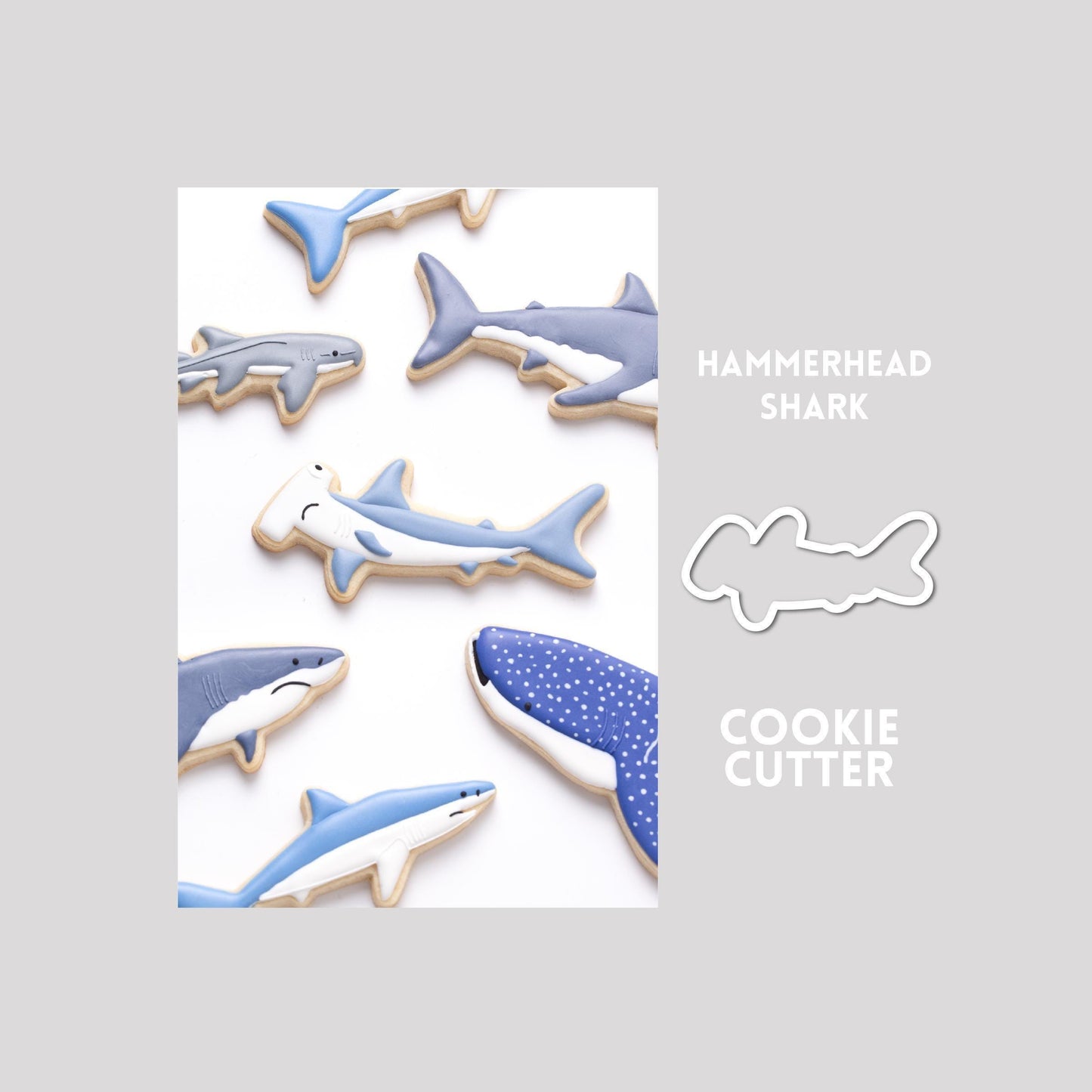 Decorated hammerhead shark sugar cookie next to a hammerhead shark cookie cutter outline on a gray background.