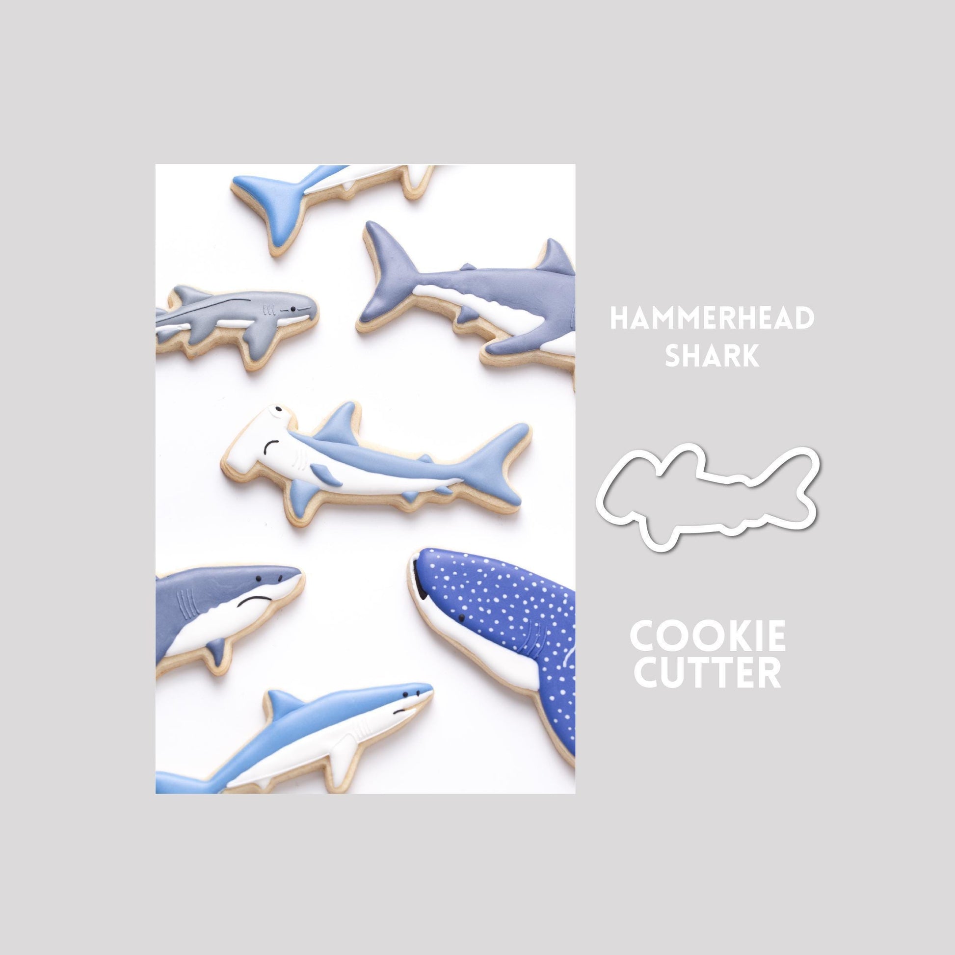 Decorated hammerhead shark sugar cookie next to a hammerhead shark cookie cutter outline on a gray background.