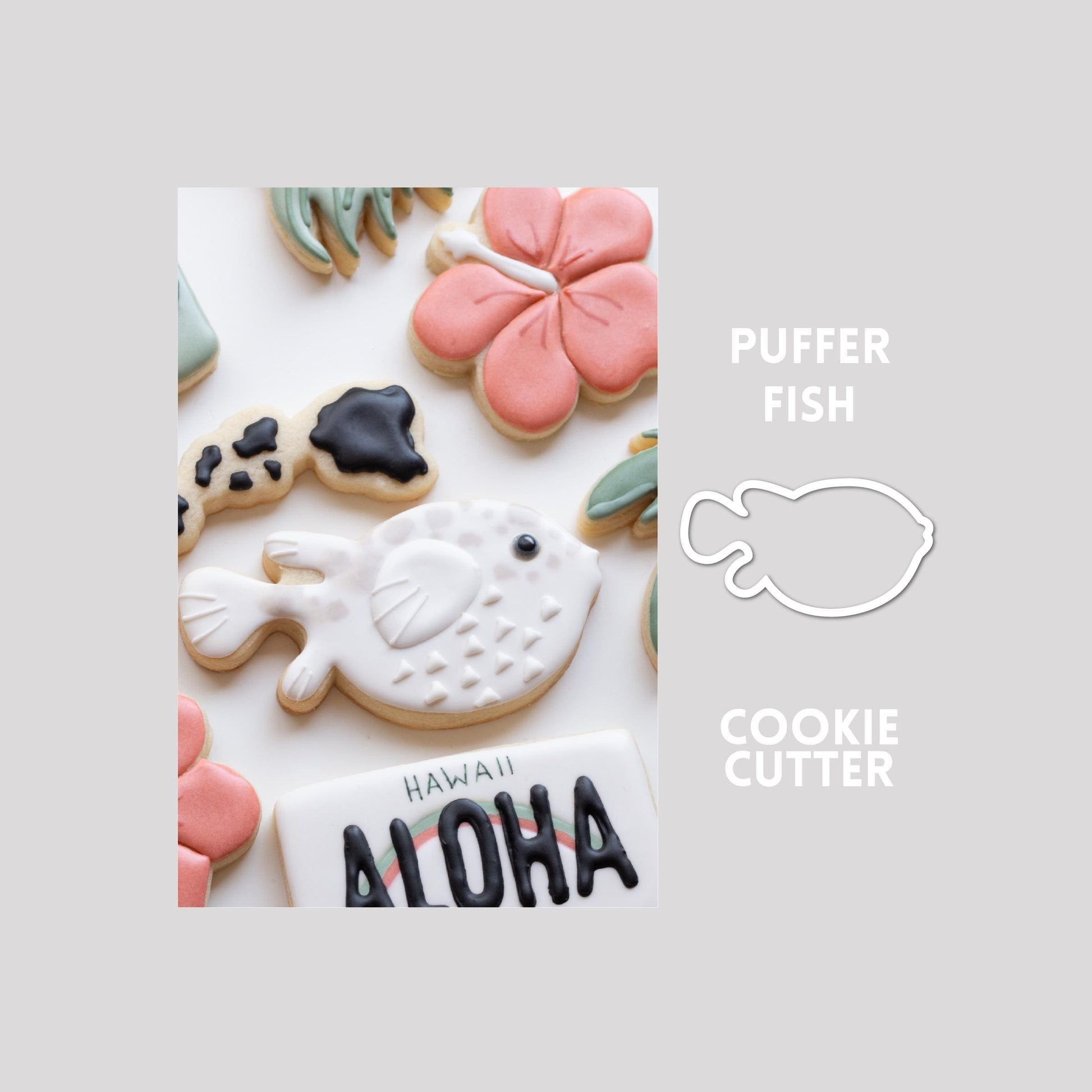 Decorated pufferfish sugar cookie next to a pufferfish cookie cutter outline on a gray background.
